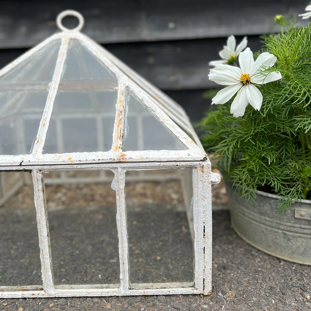 Antique Georgian Garden Cloche - Image 3