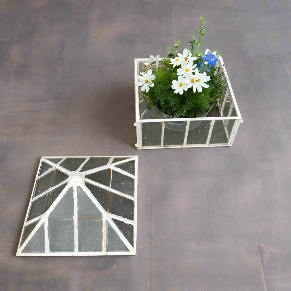 Antique Georgian Garden Cloche - Image 4