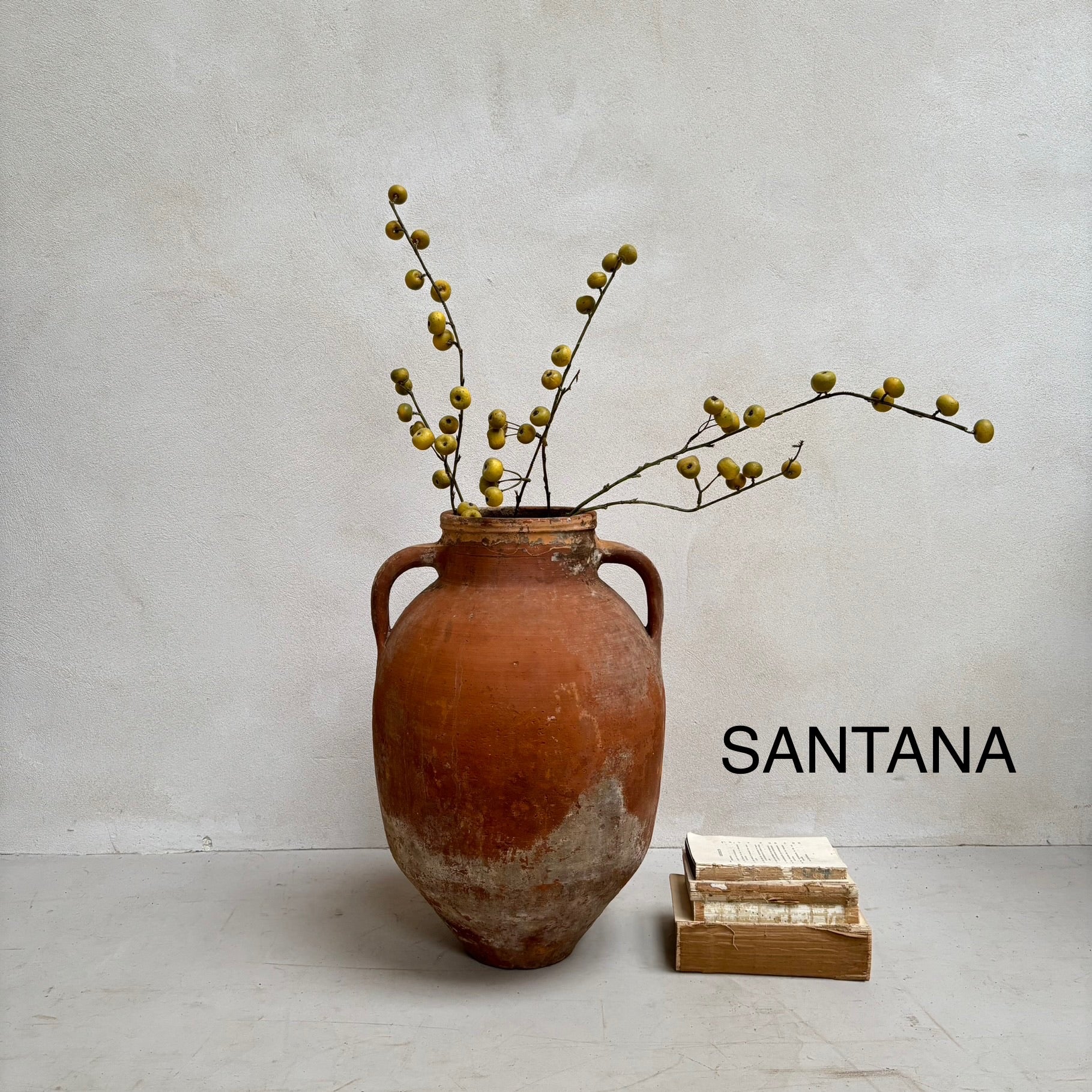 Antique Terracotta Urns with handles - Image 6