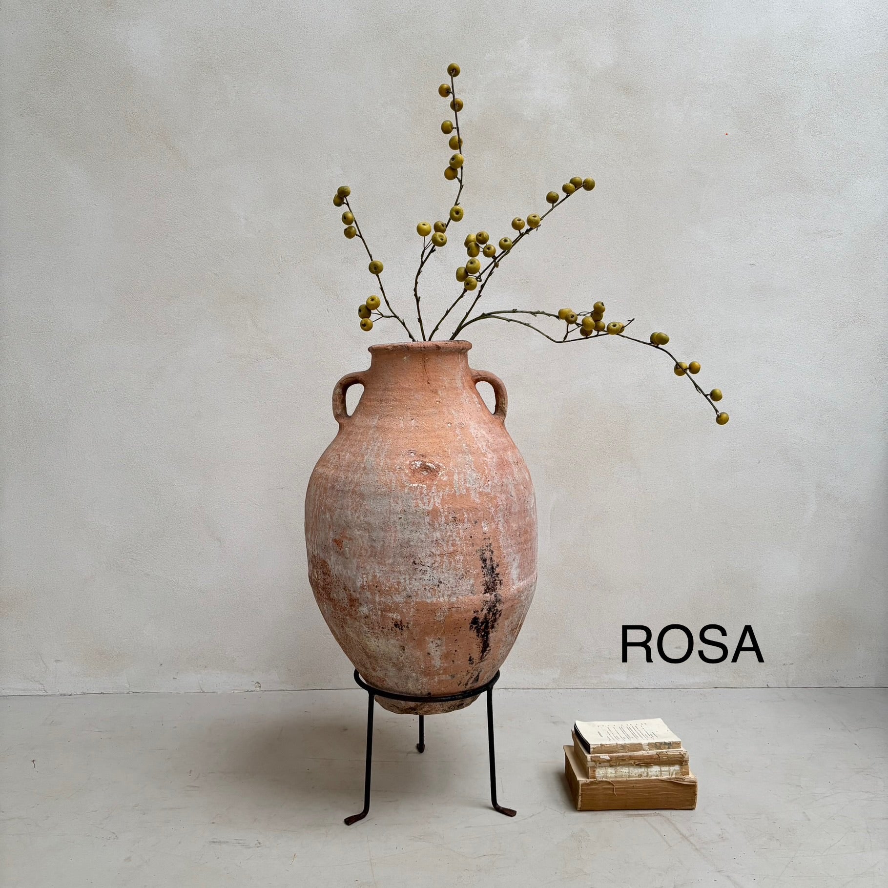Antique Terracotta Urns with handles - Image 7