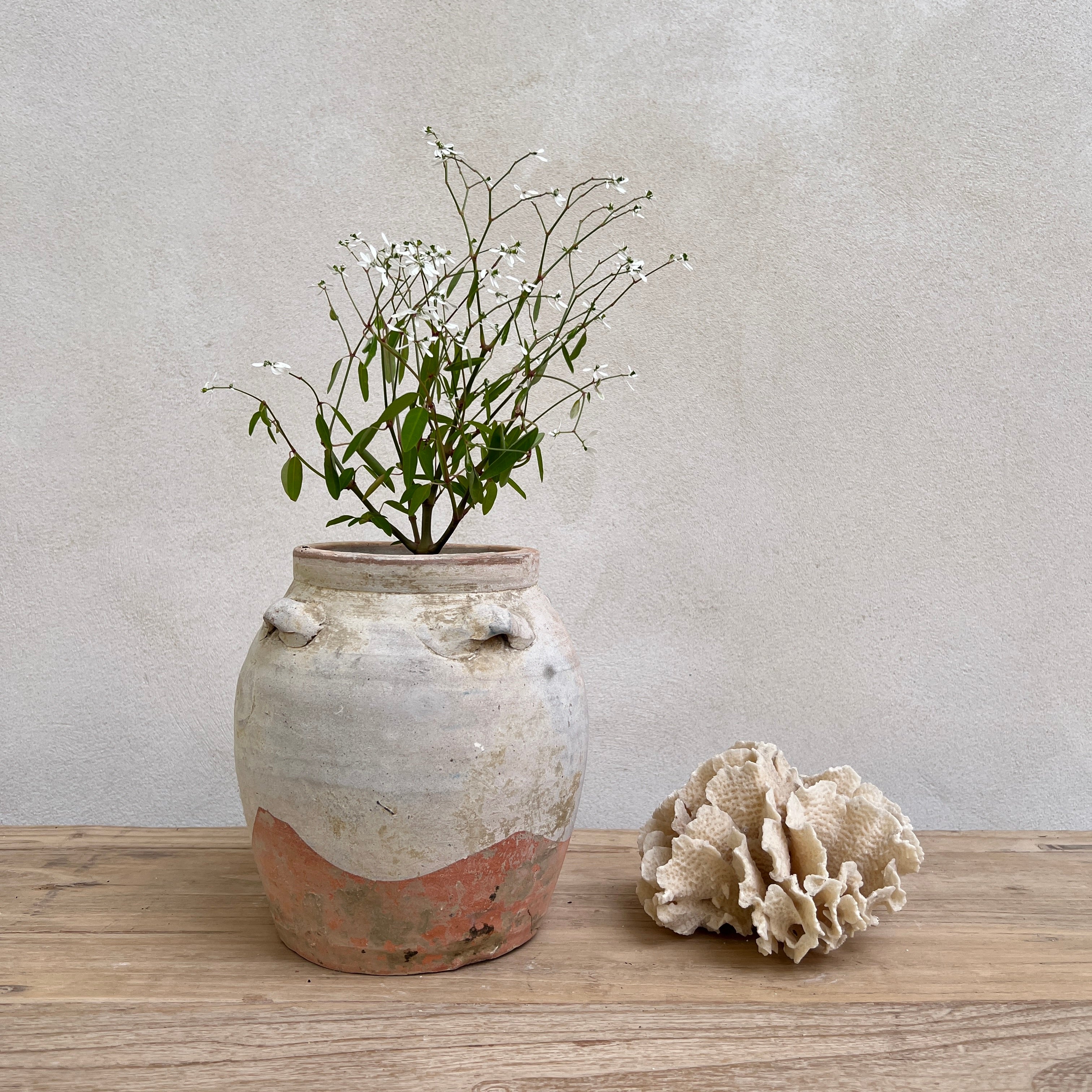 Antique Palembang White Shipwreck Preserve Pot - Image 4