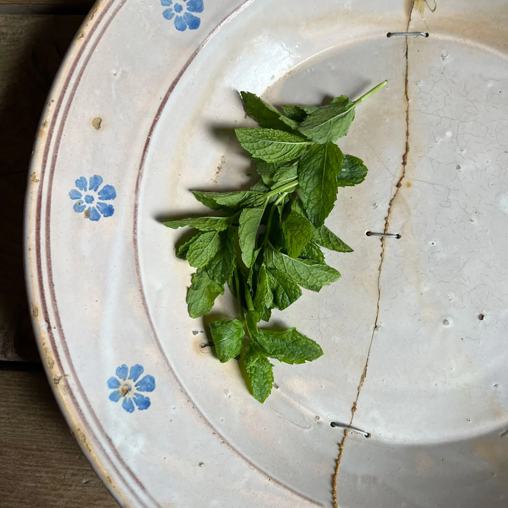 Antique Puglian ceramic bowl No:5 - Image 4