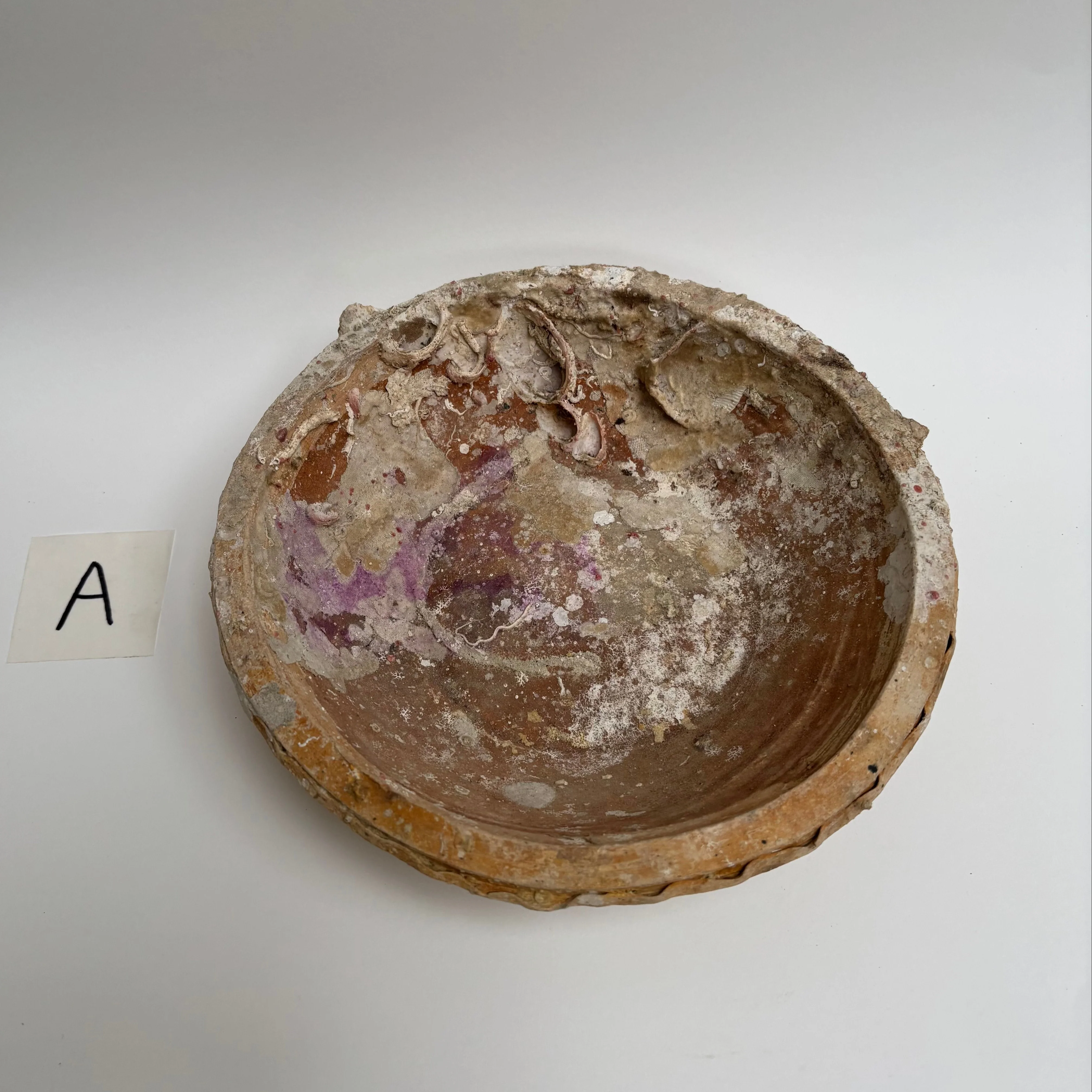 Antique Shipwreck Bowl 14th Century | Sawankhaloc A - Image 2