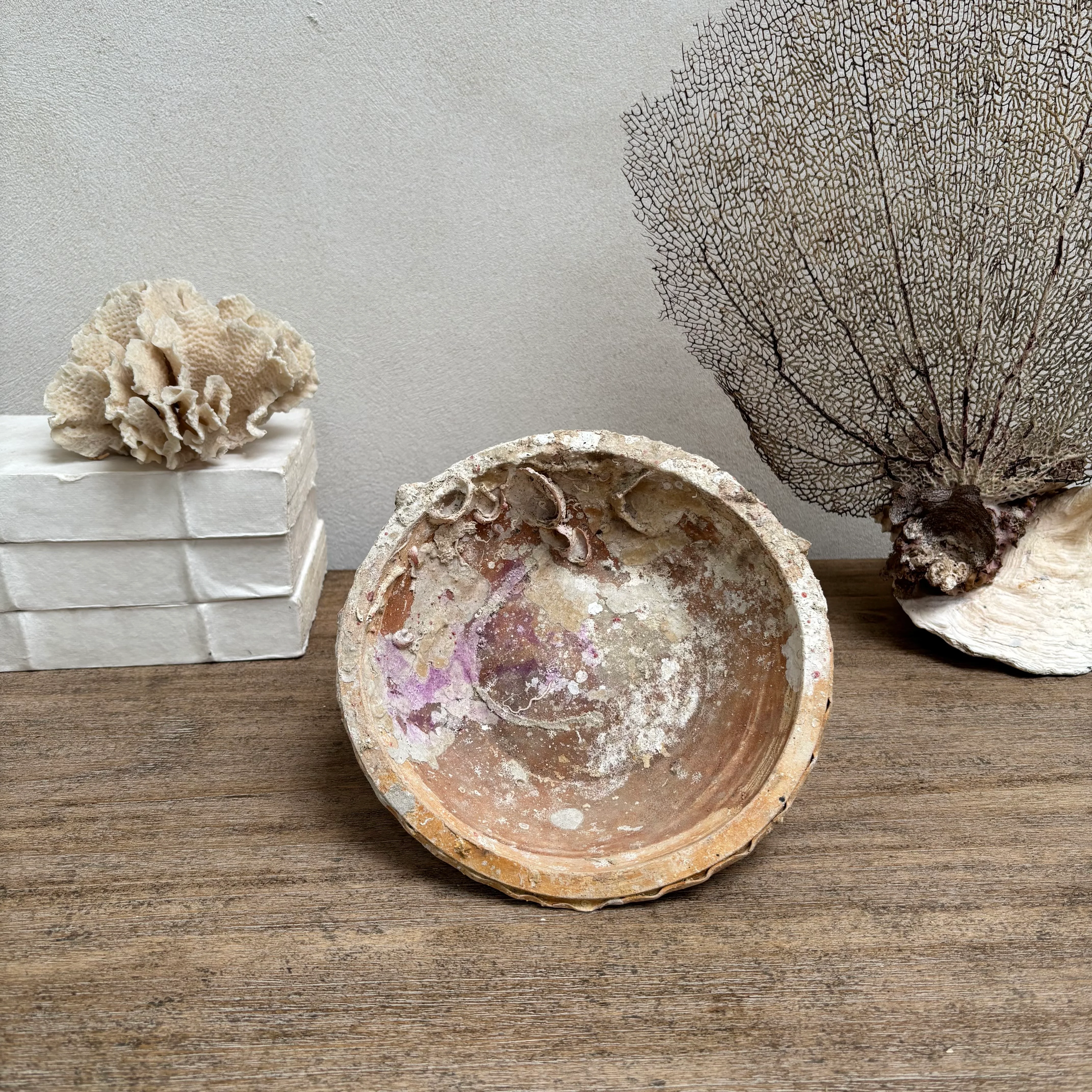 Antique Shipwreck Bowl 14th Century | Sawankhaloc A - Image 3