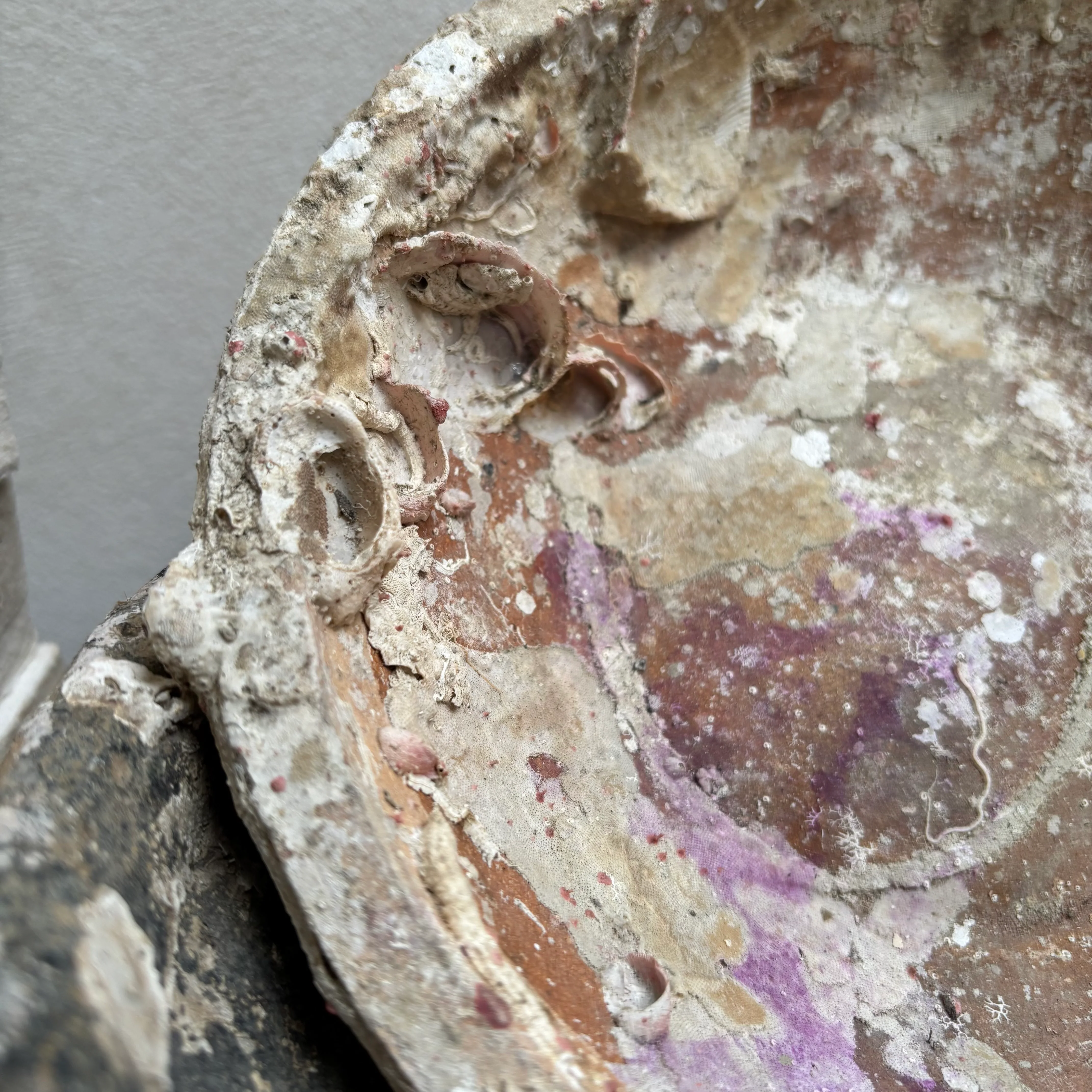 Antique Shipwreck Bowl 14th Century | Sawankhaloc A - Image 5