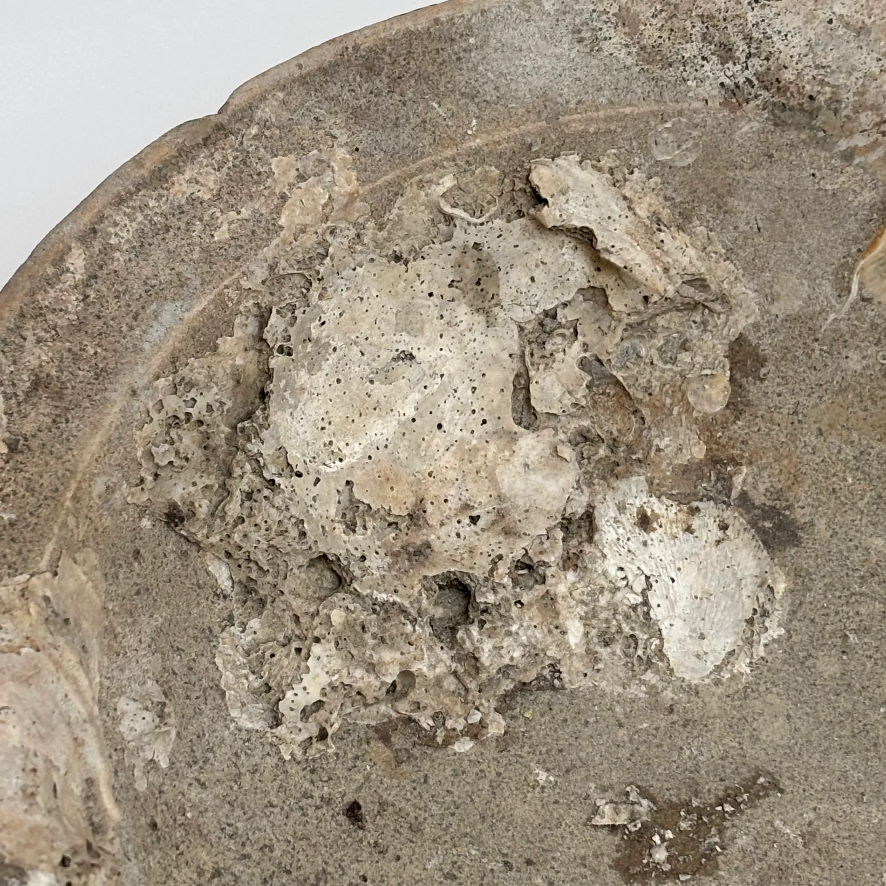 Antique Shipwreck Bowl 14th Century | Sawankhaloc B - Image 13