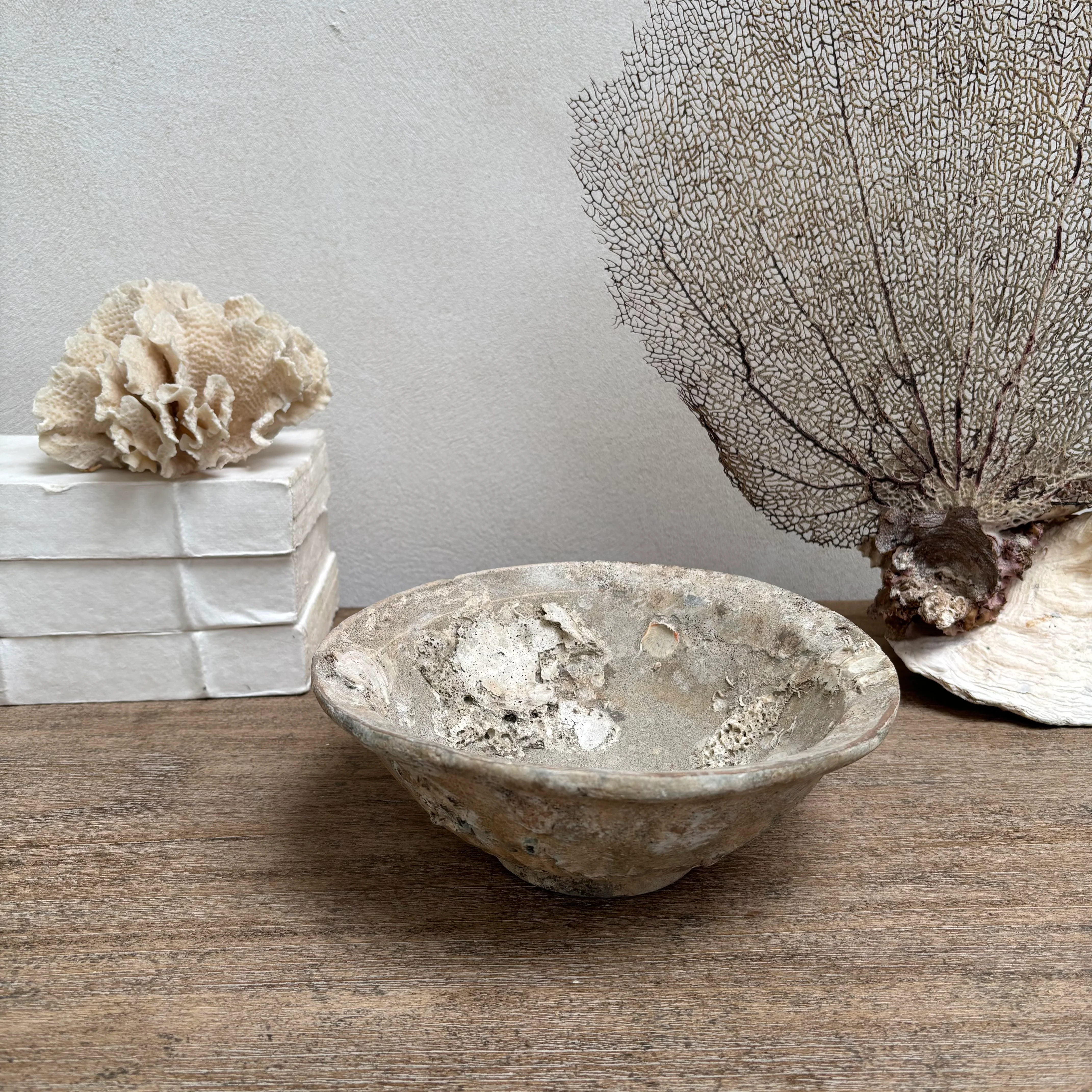 Antique Shipwreck Bowl 14th Century | Sawankhaloc B - Image 2