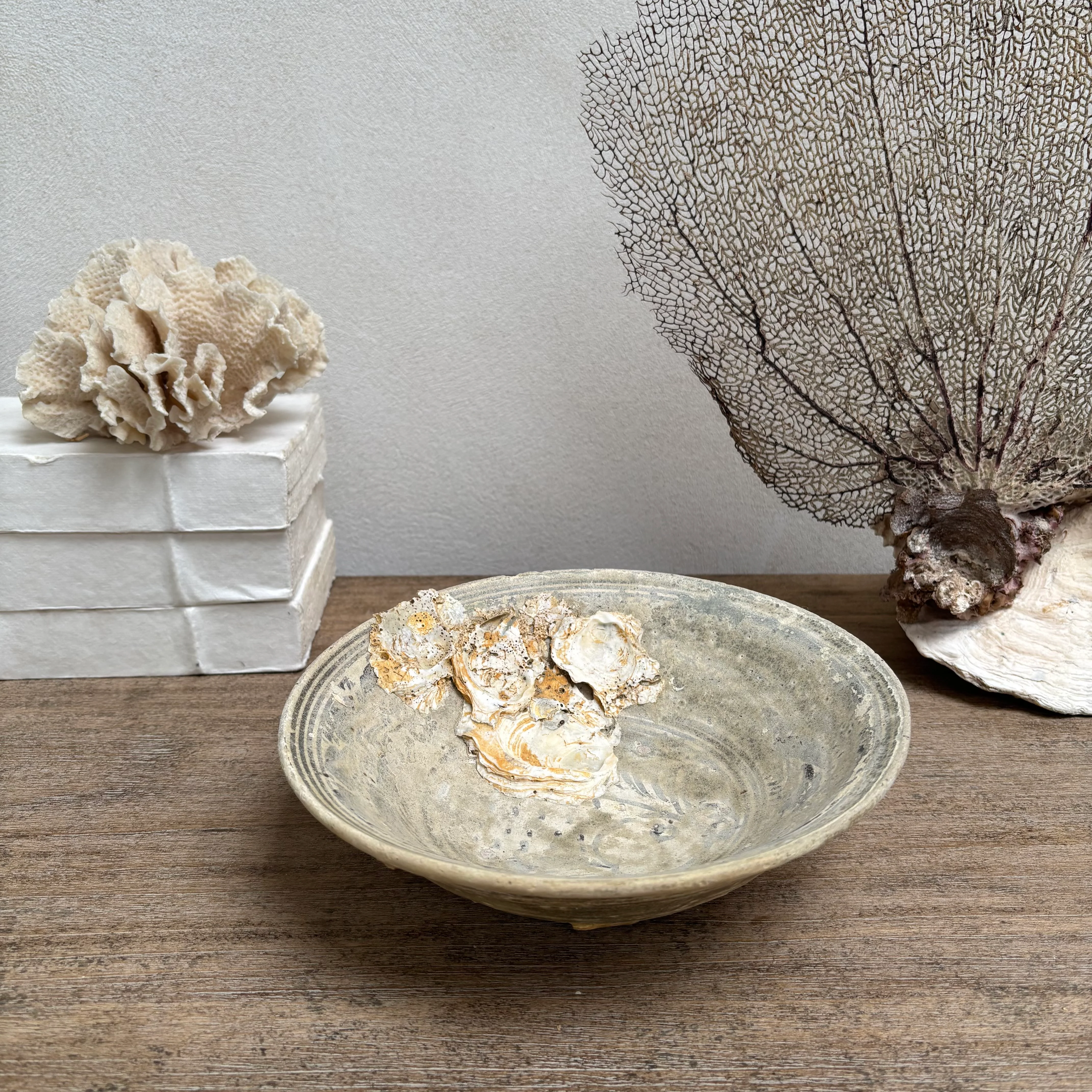 Antique Shipwreck Bowl 14th Century | Sawankhaloc C - Image 3