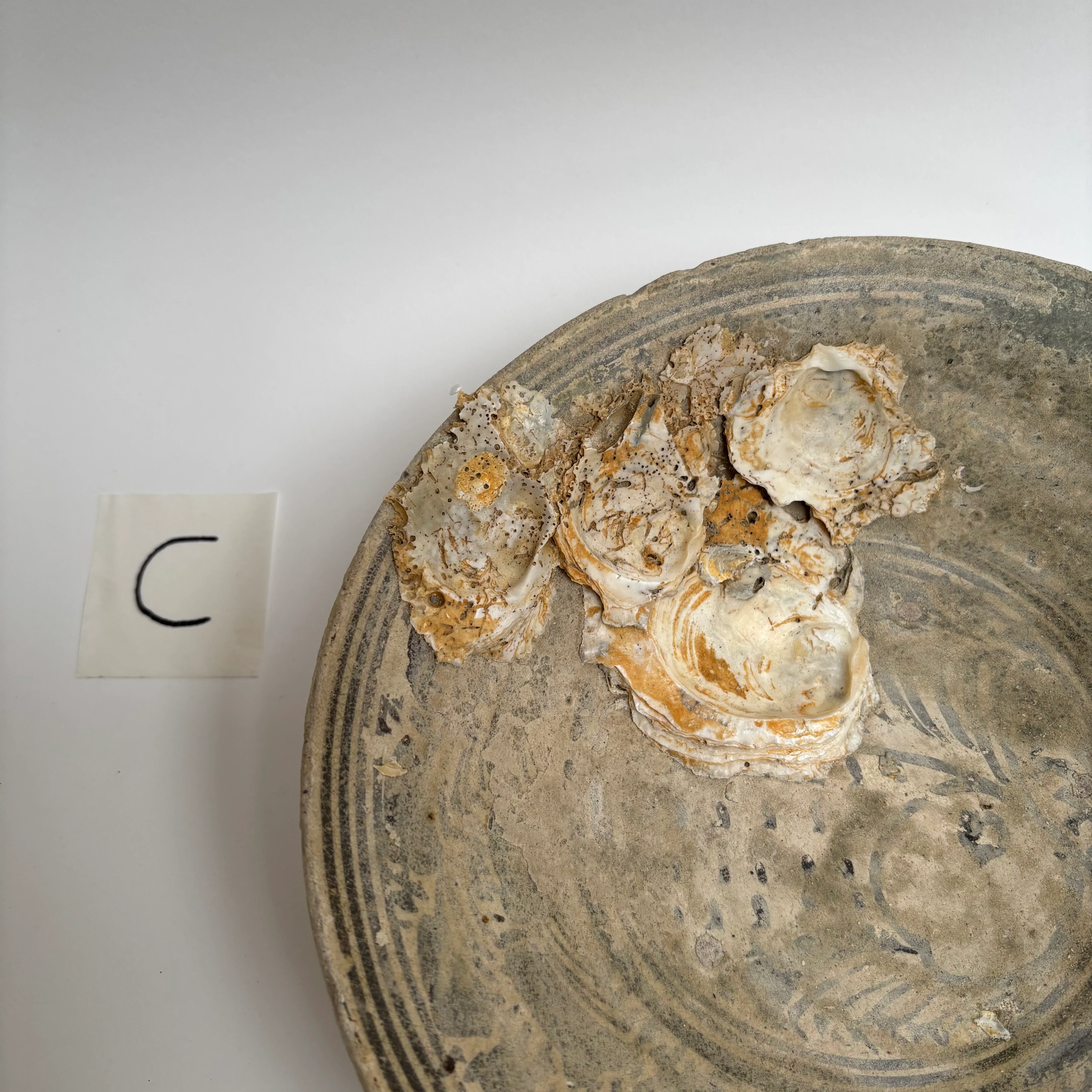 Antique Shipwreck Bowl 14th Century | Sawankhaloc C - Image 5