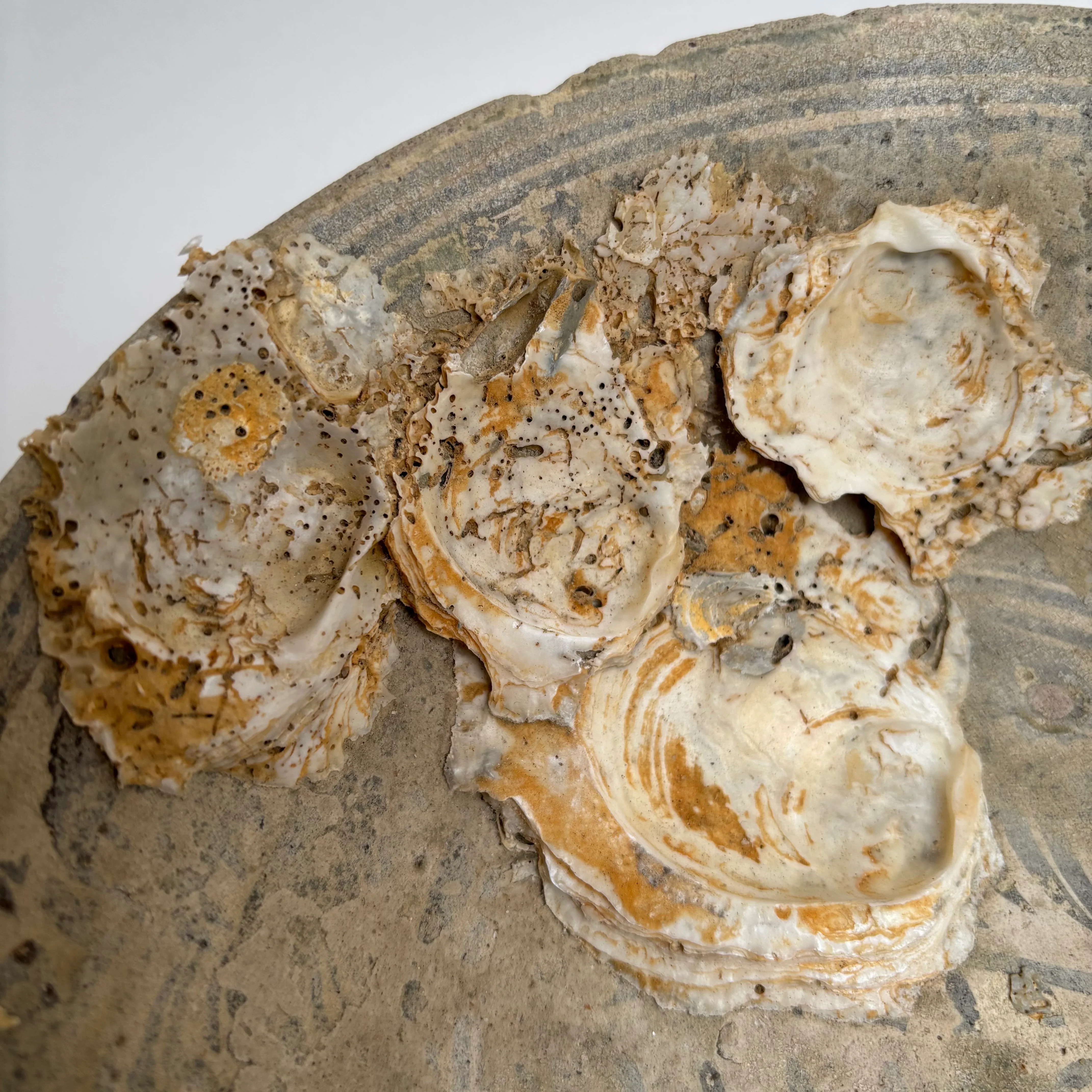 Antique Shipwreck Bowl 14th Century | Sawankhaloc C - Image 6