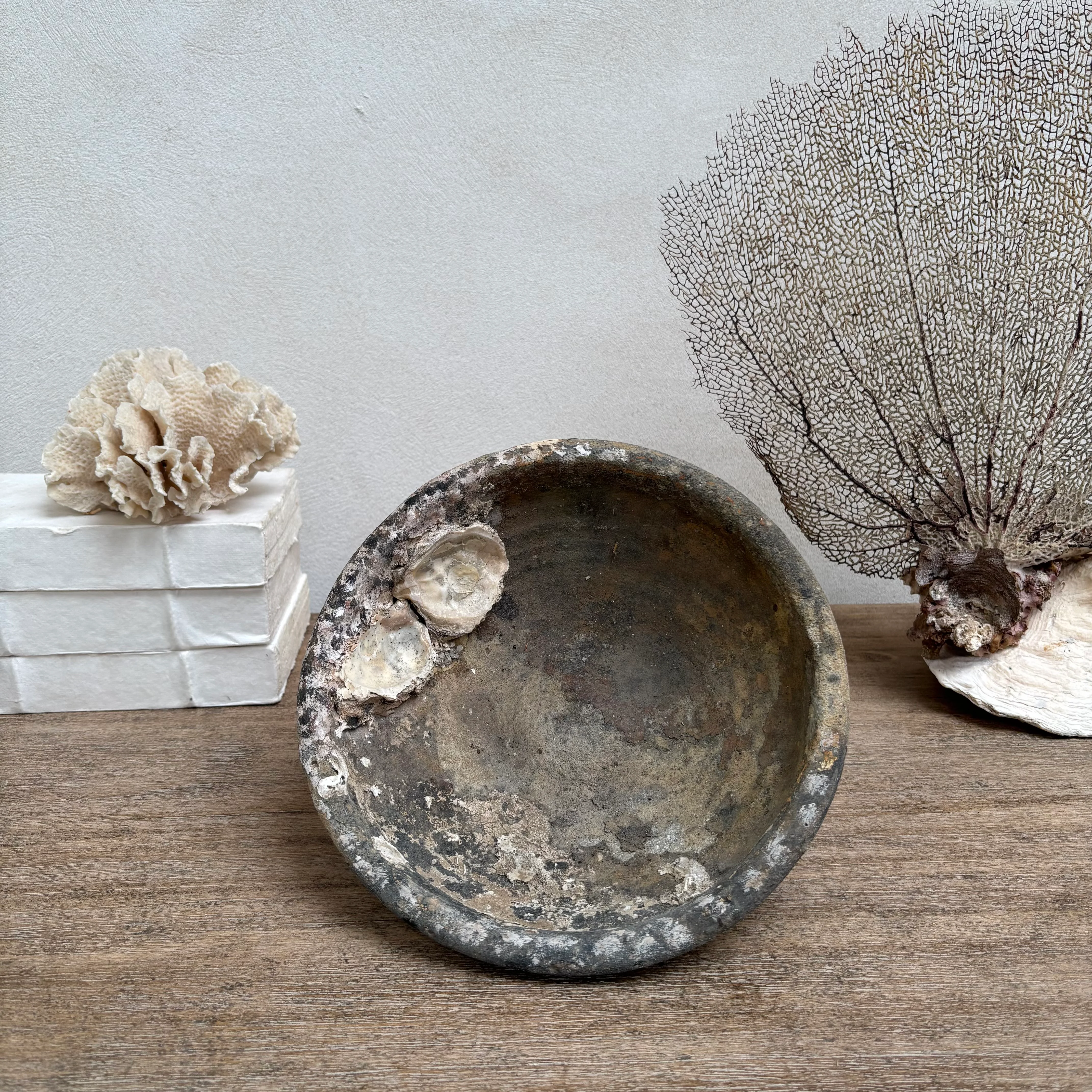 Antique Shipwreck Bowl 14th Century | Sawankhaloc D