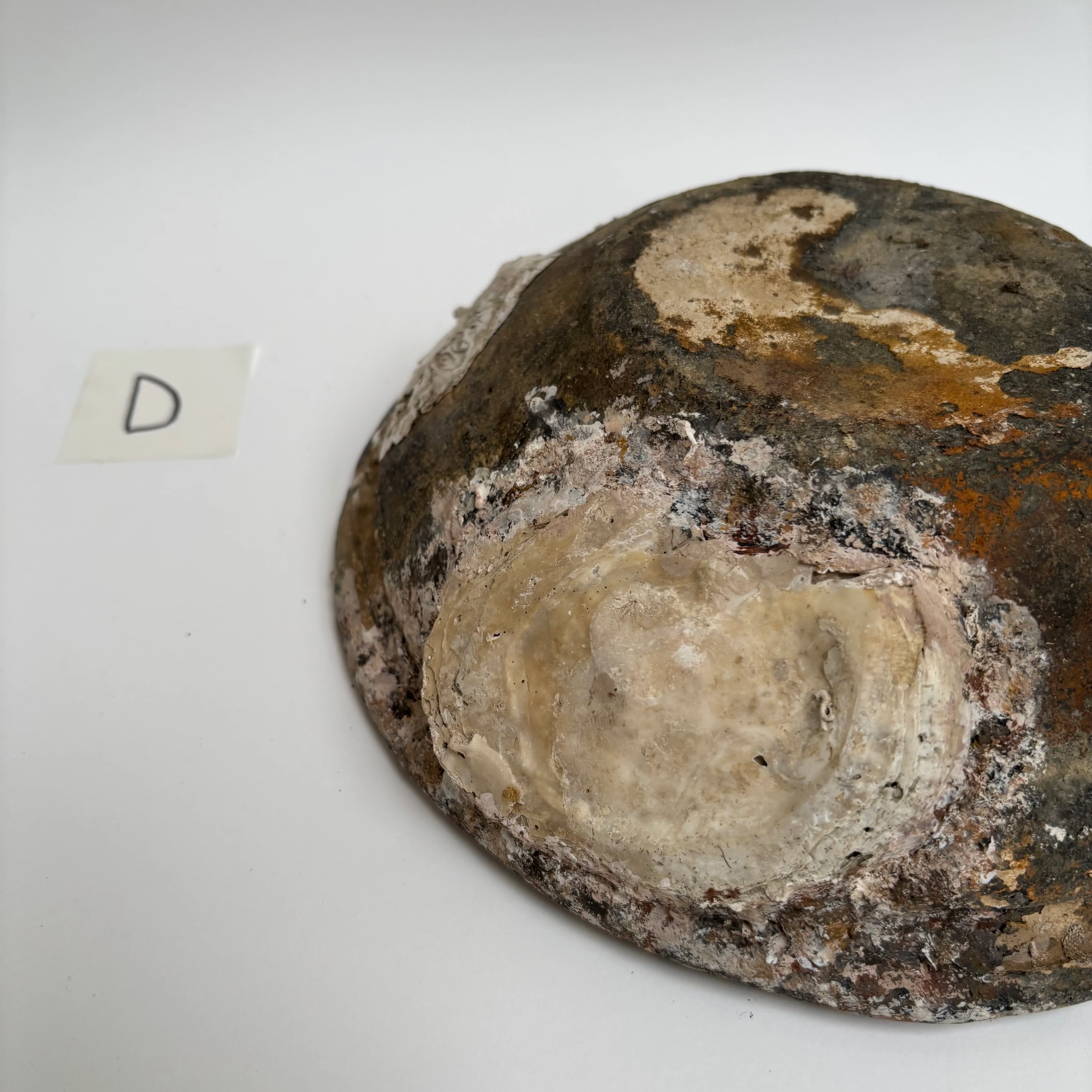 Antique Shipwreck Bowl 14th Century | Sawankhaloc D - Image 12