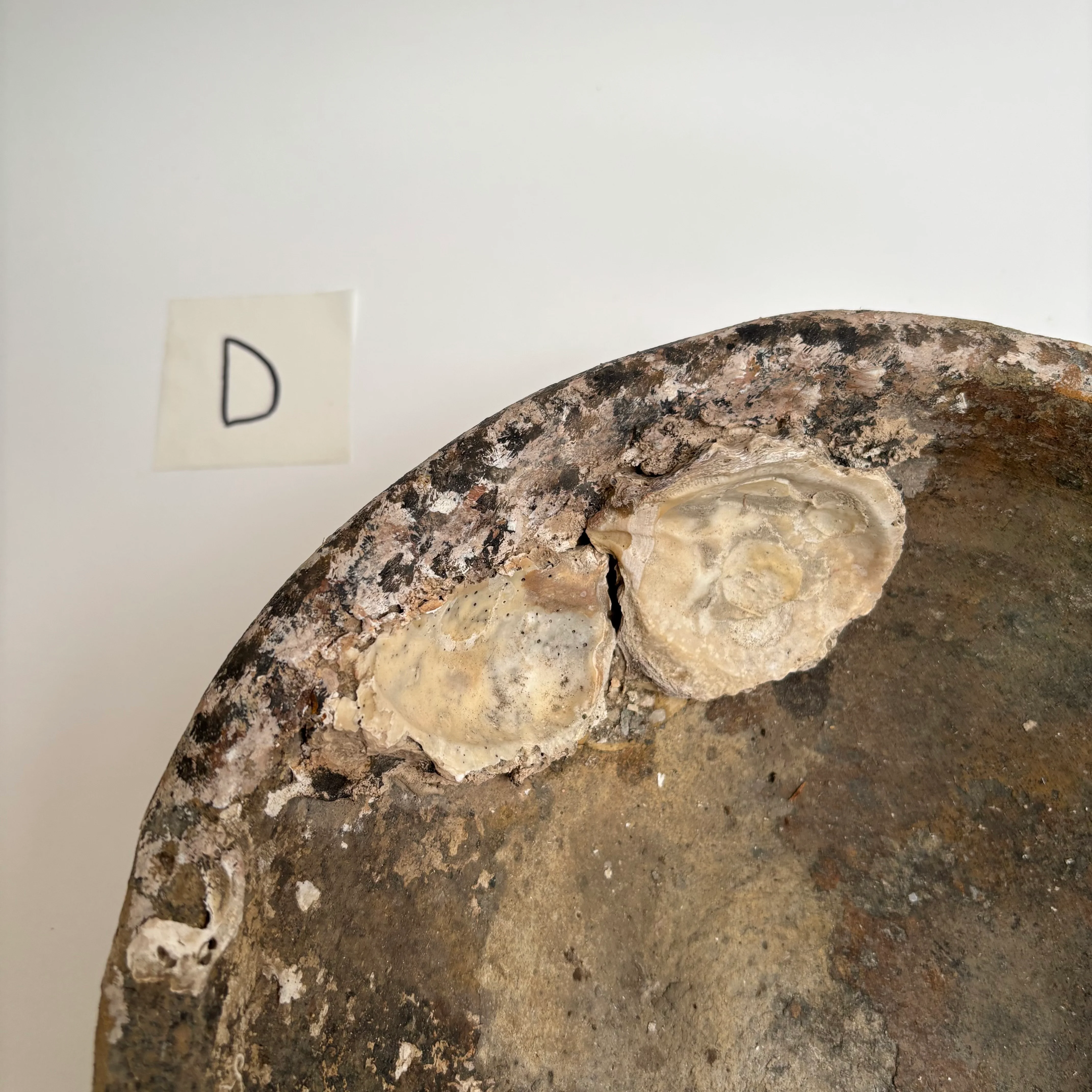 Antique Shipwreck Bowl 14th Century | Sawankhaloc D - Image 9