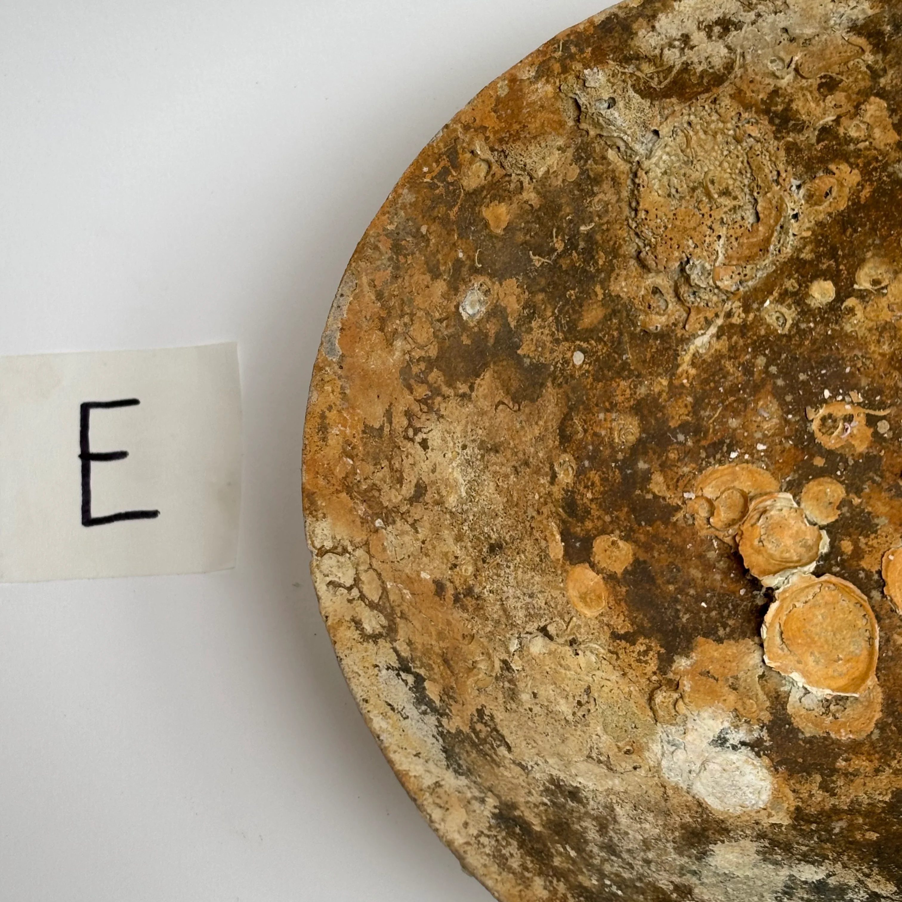 Antique Shipwreck Bowl 14th Century | Sawankhaloc E - Image 10