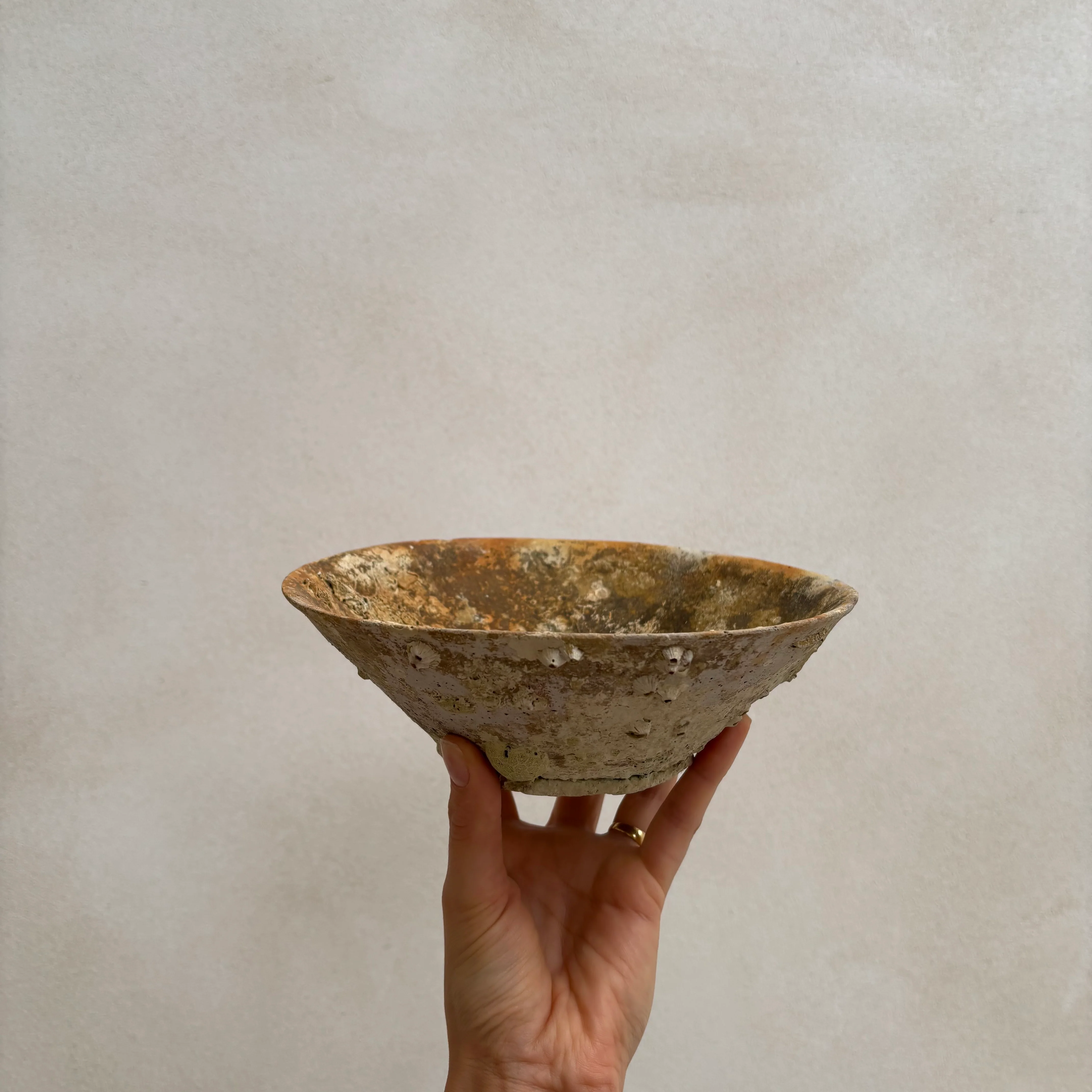 Antique Shipwreck Bowl 14th Century | Sawankhaloc E - Image 14