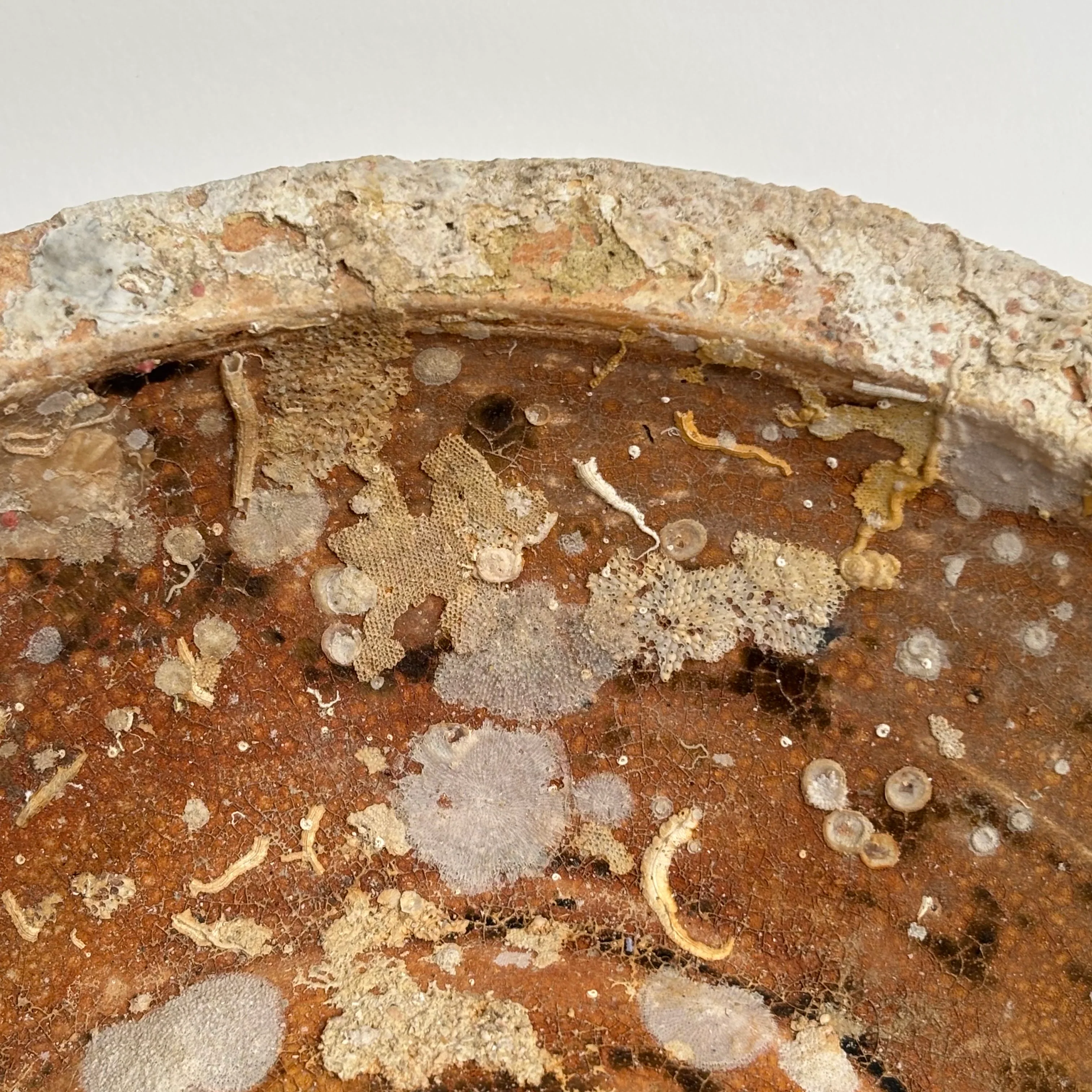 Antique Shipwreck Bowl 14th Century | Sawankhaloc F - Image 10