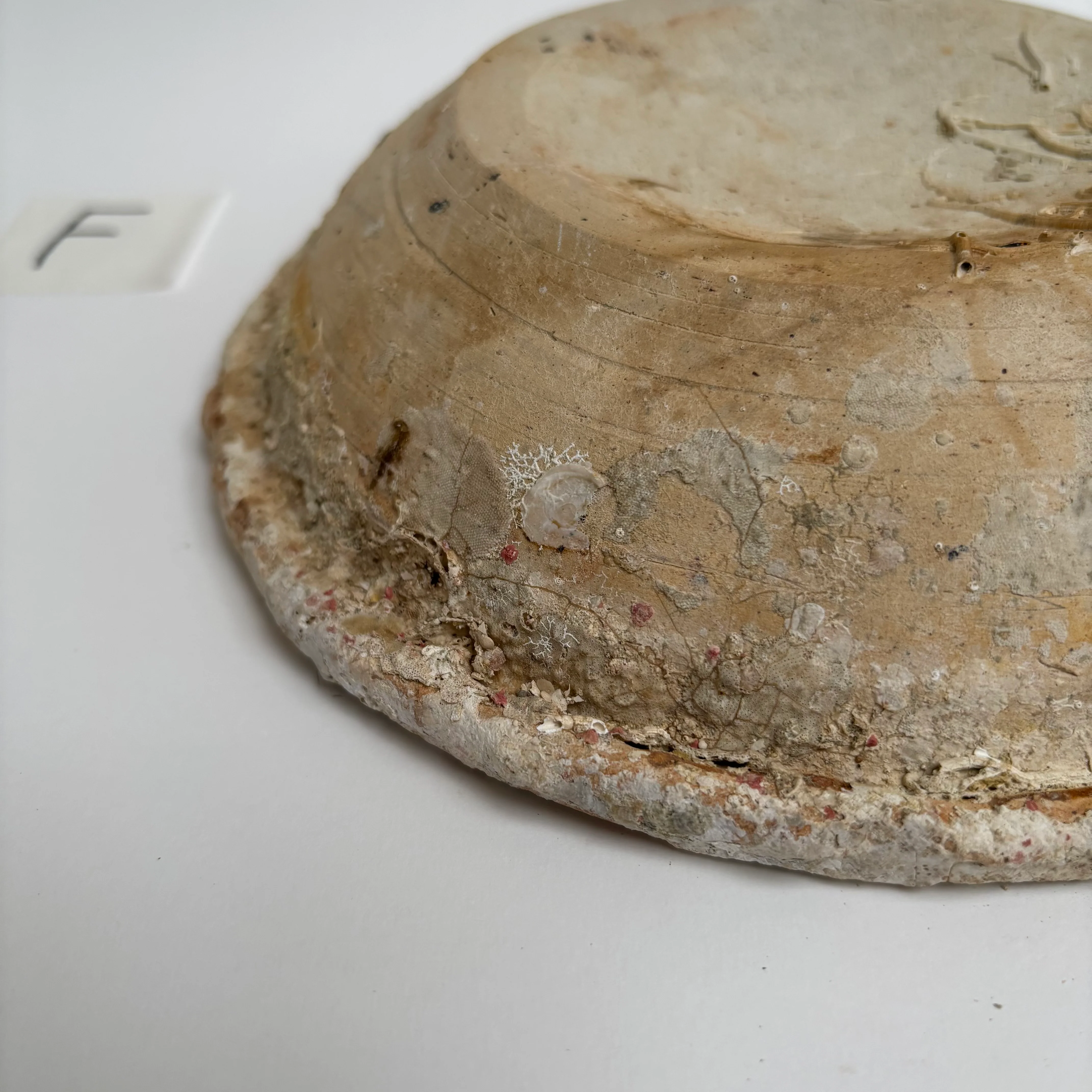 Antique Shipwreck Bowl 14th Century | Sawankhaloc F - Image 12