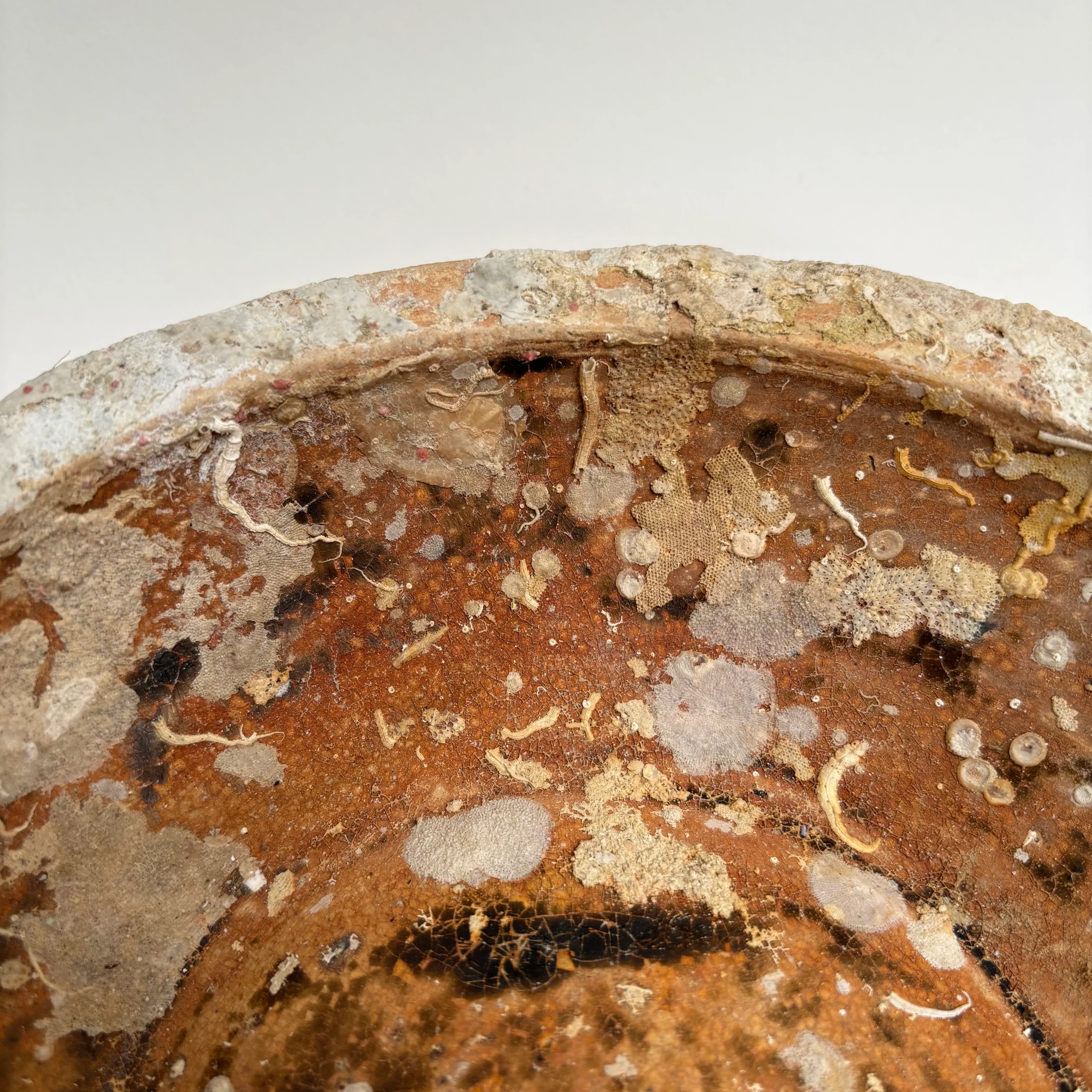 Antique Shipwreck Bowl 14th Century | Sawankhaloc F - Image 9