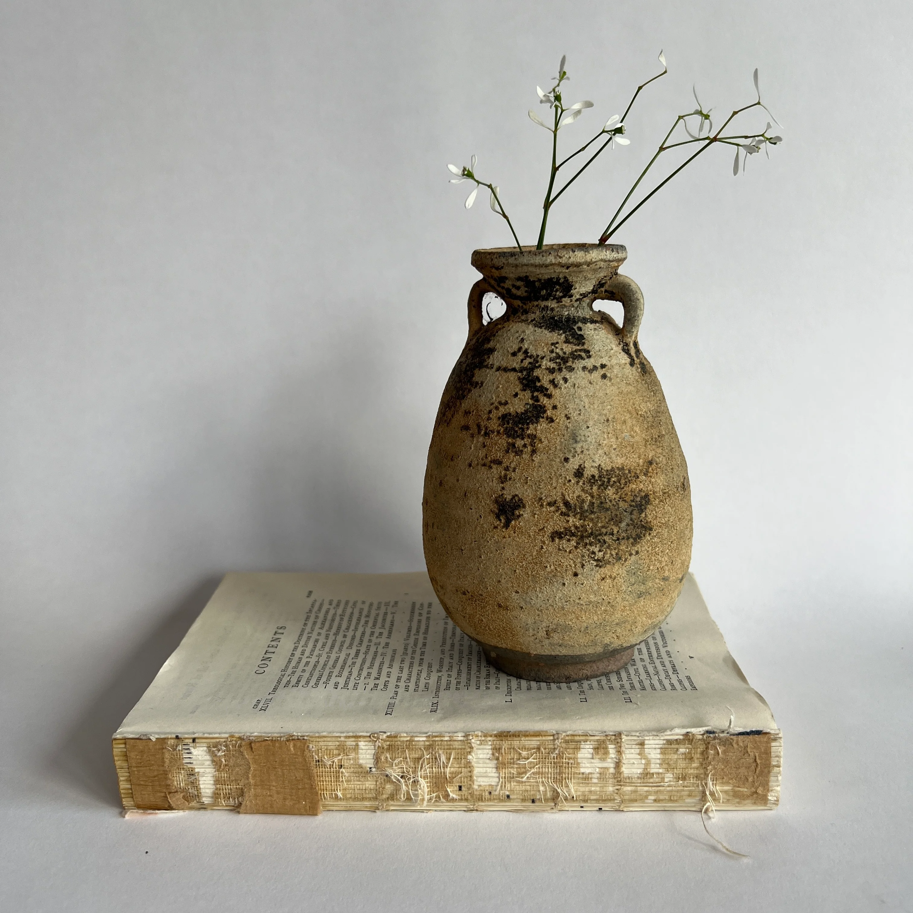 Antique Shipwreck Ring Handle Jar | Sukhothai 01