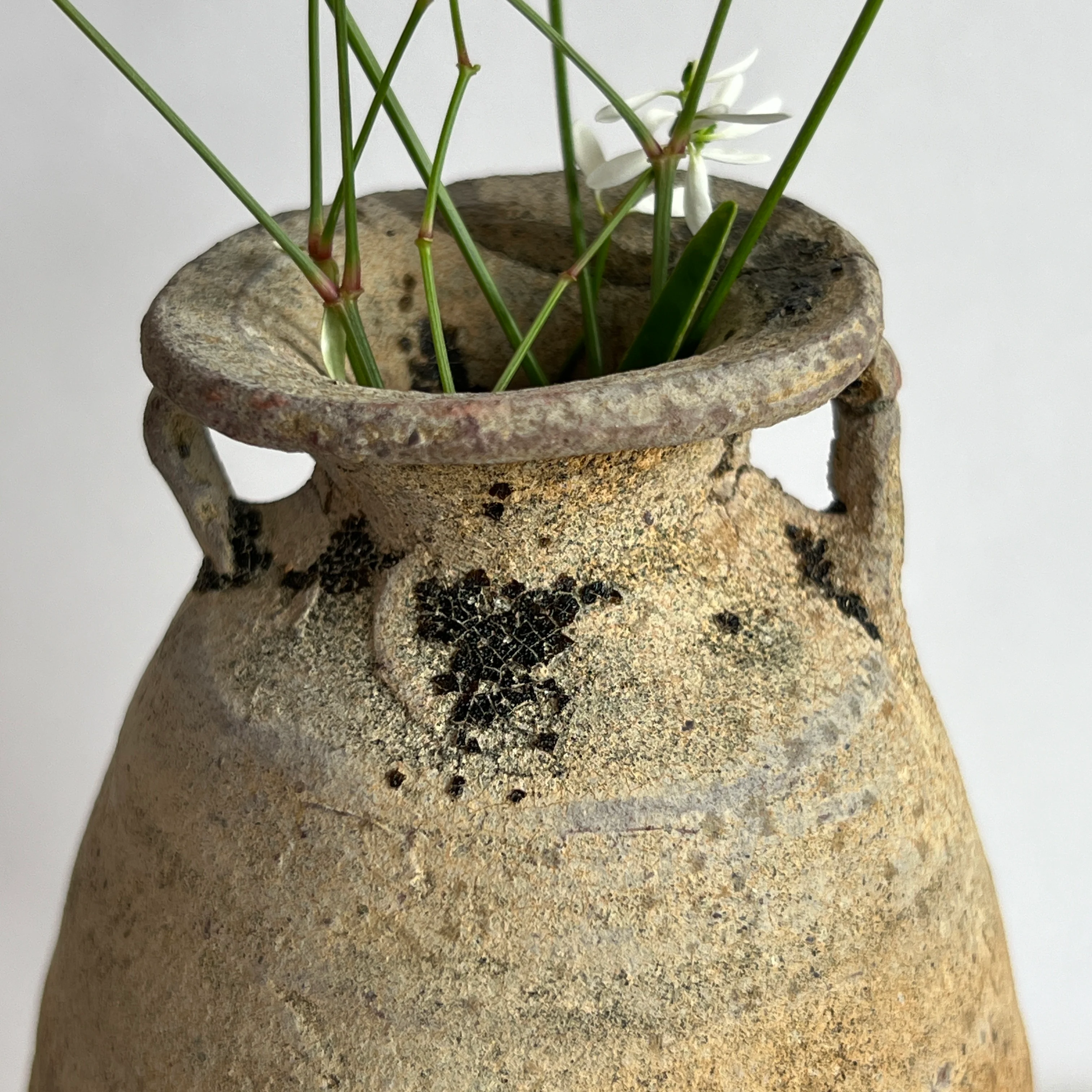 Antique Shipwreck Ring Handle Jar | Sukhothai 04 - Image 10