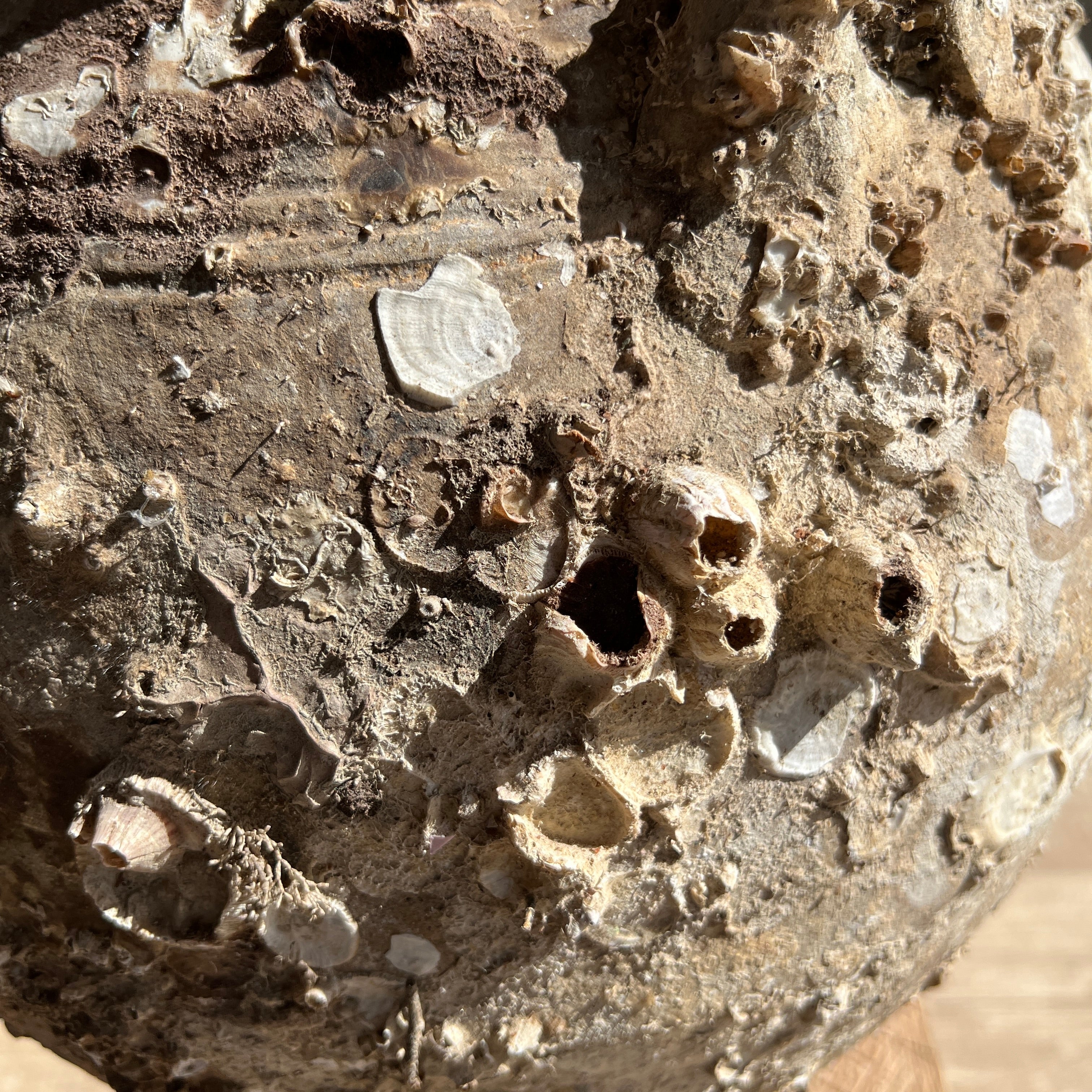 Antique Shipwreck Storage Jar | Singburi 87208 - Image 6
