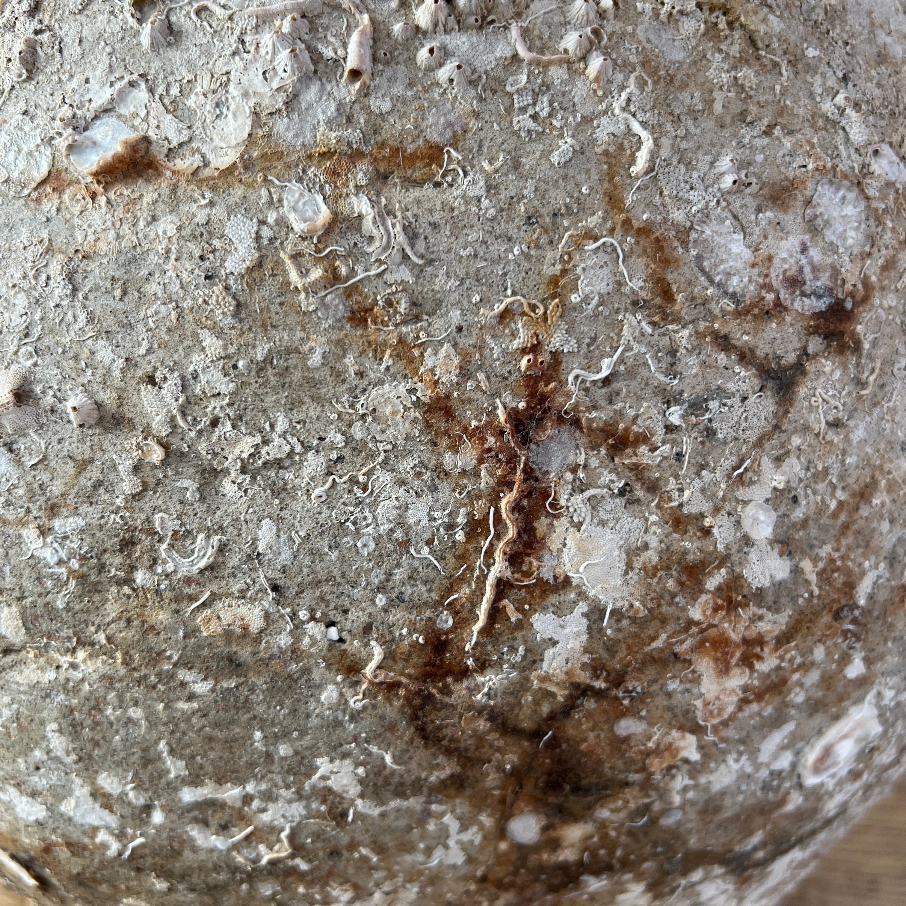 Antique Shipwreck Storage Jar | Singburi 8720910 - Image 5