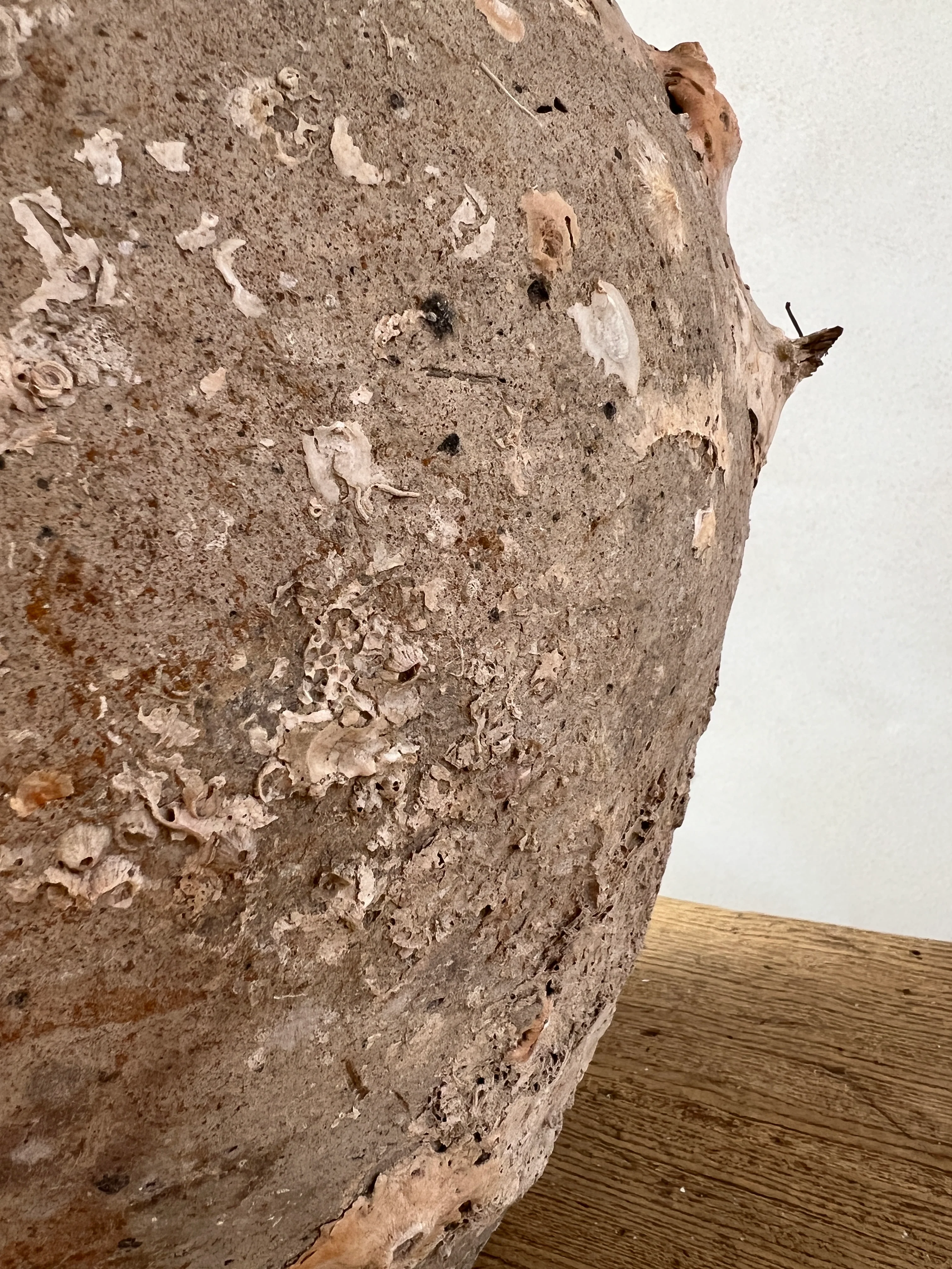 Antique Shipwreck Storage Jar | Singburi 8720910 - Image 9