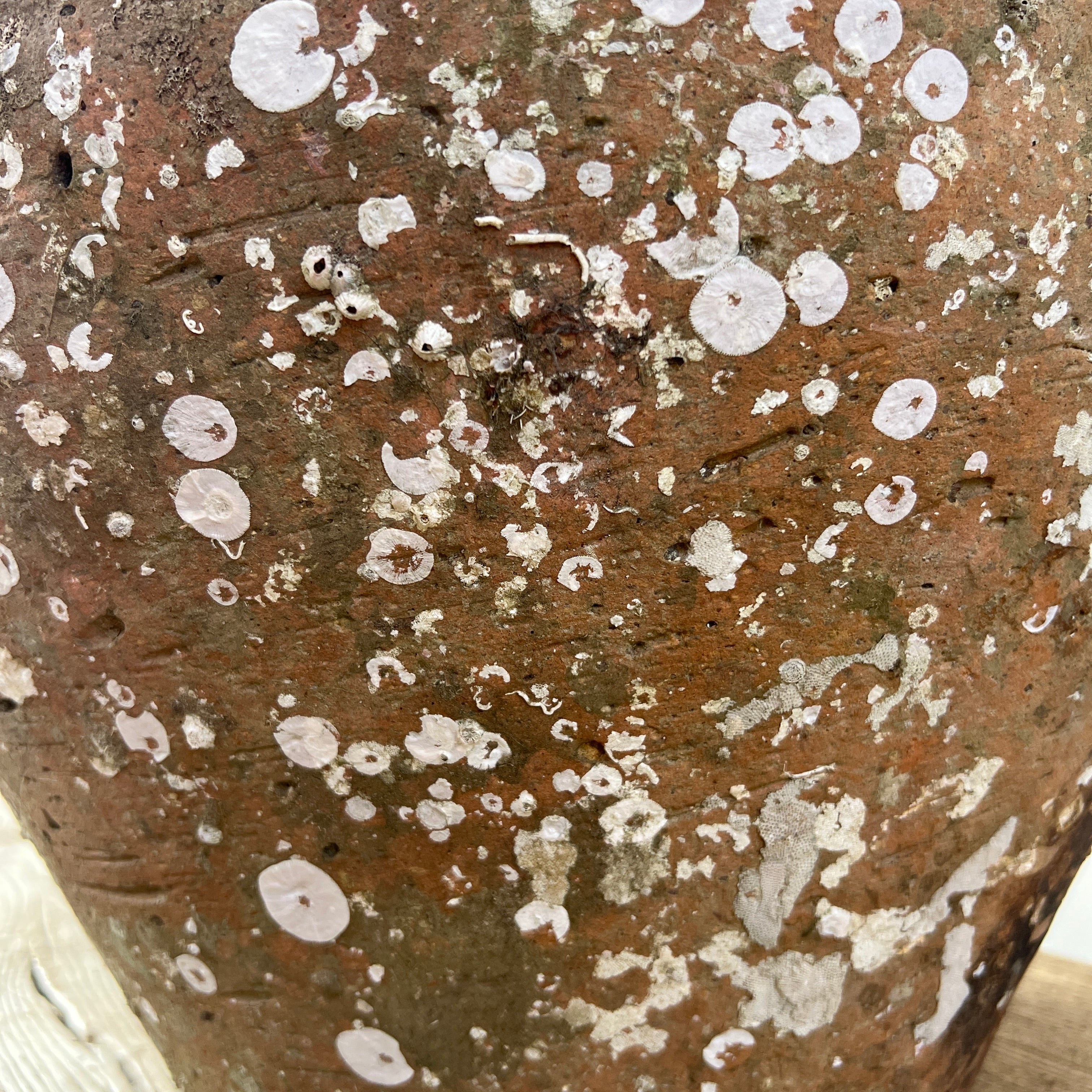 Antique Shipwreck Storage Jar | Singburi 8720912 - Image 4