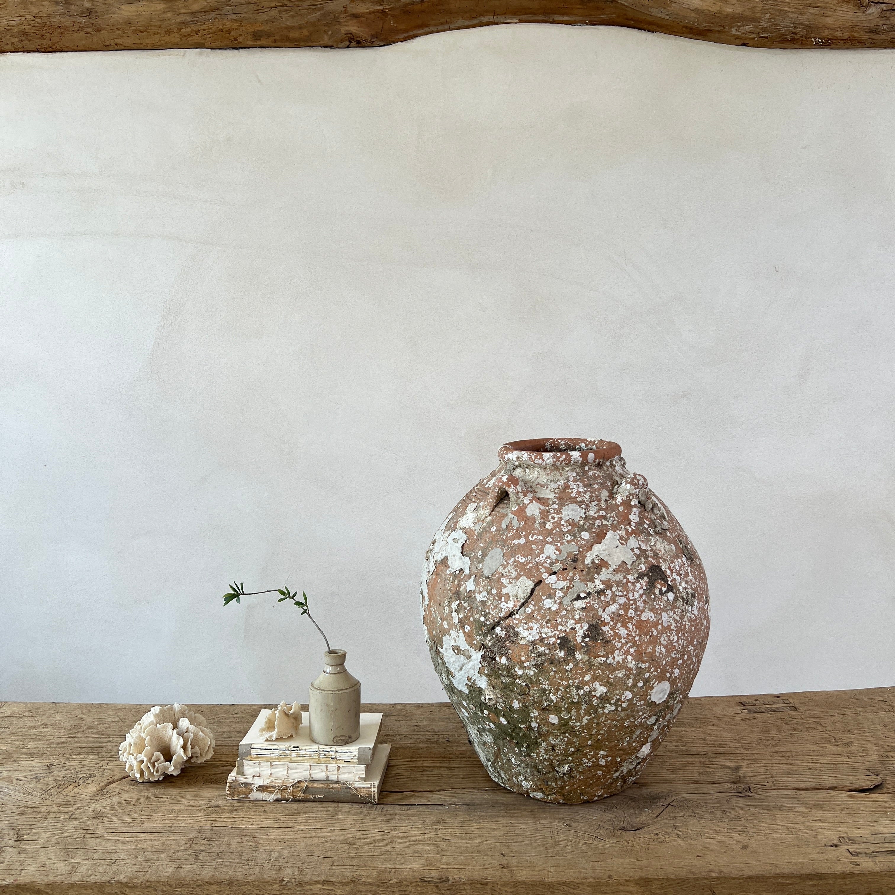 Antique Shipwreck Storage Jar | Singburi 8720913