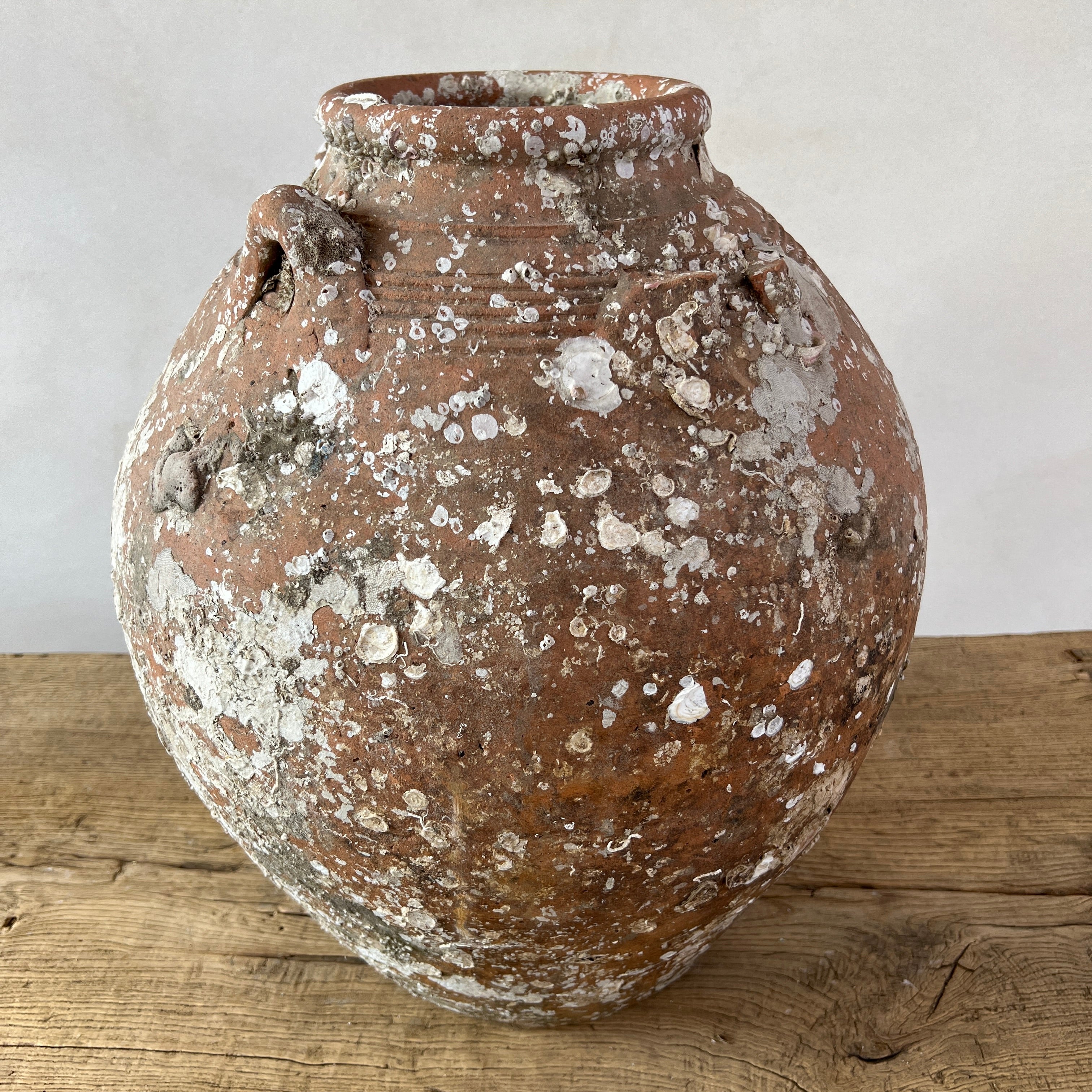 Antique Shipwreck Storage Jar | Singburi 8720913 - Image 4