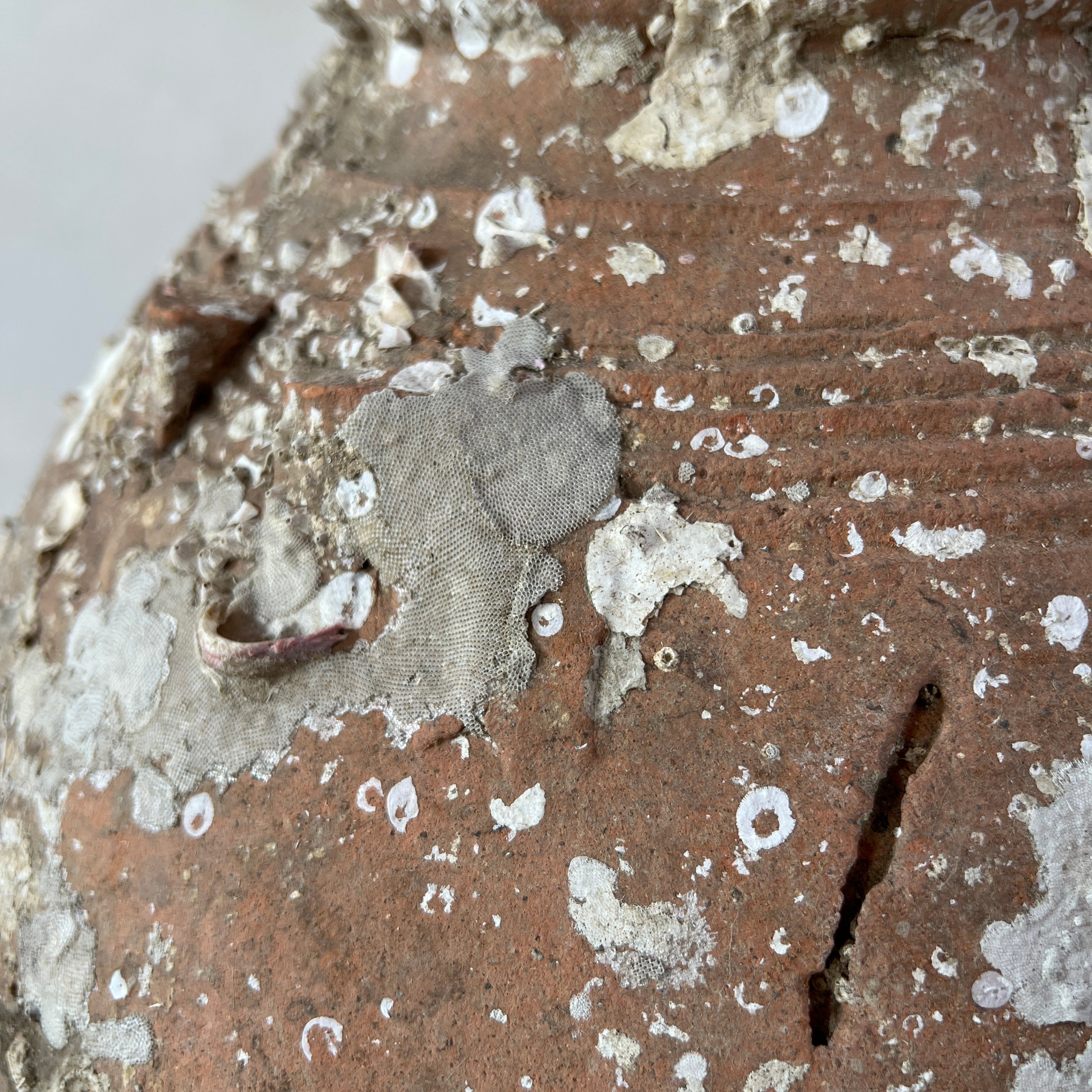 Antique Shipwreck Storage Jar | Singburi 8720913 - Image 6
