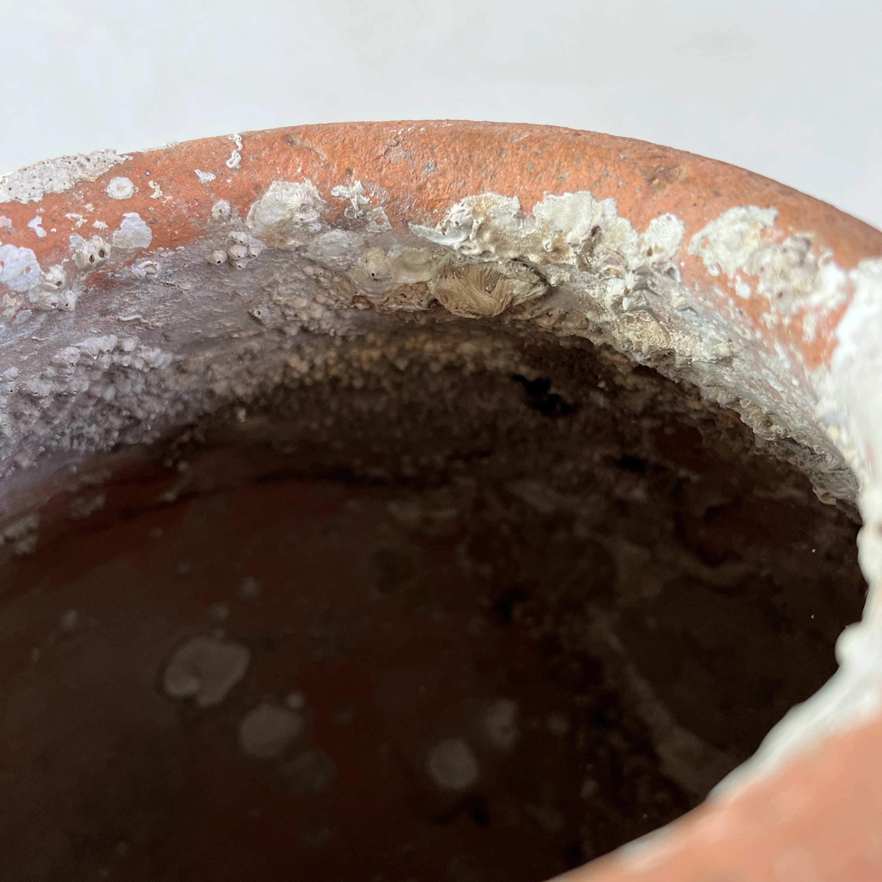 Antique Shipwreck Storage Jar | Singburi 8720913 - Image 7