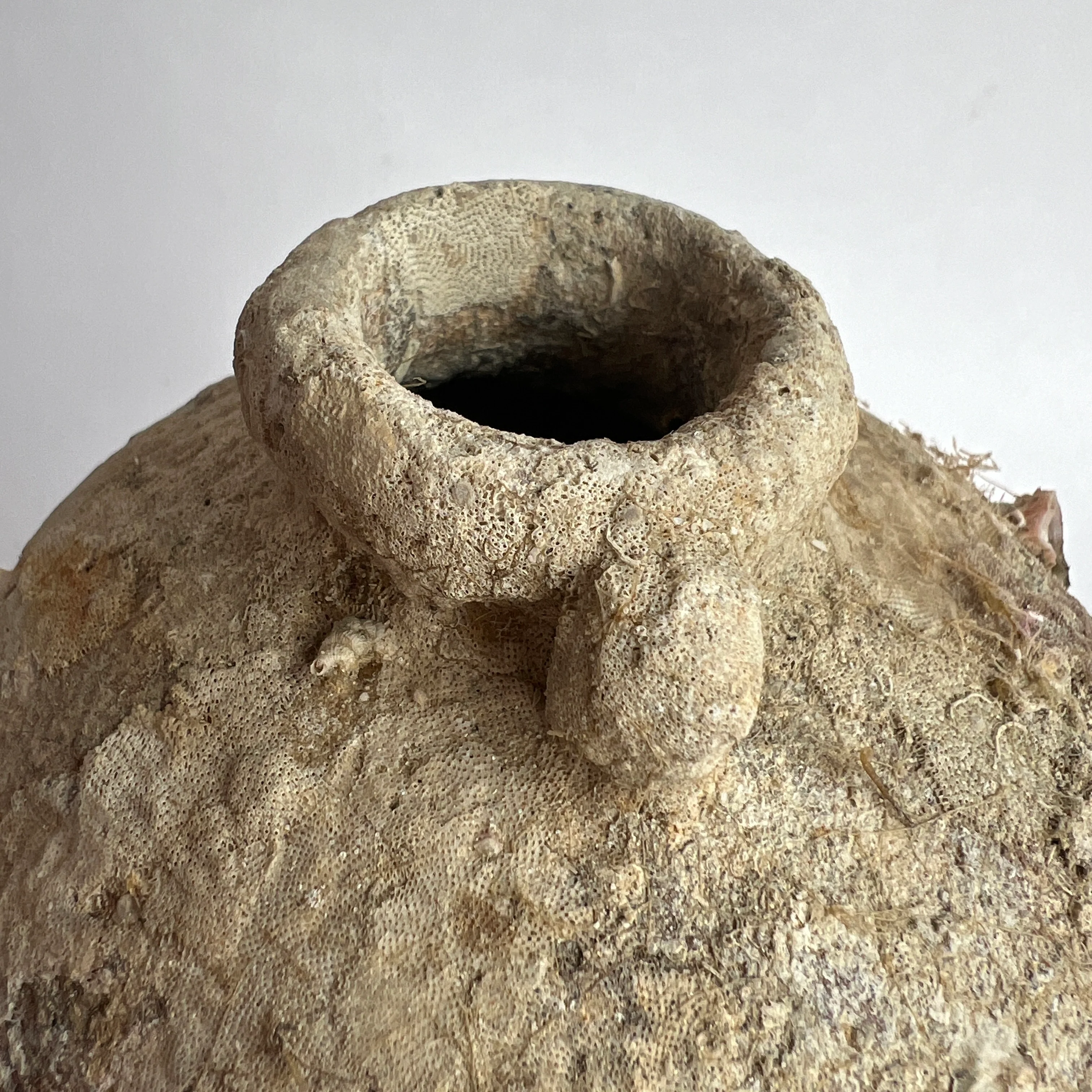 Antique Shipwreck Vase | Sawankhalok 824010 - Image 9