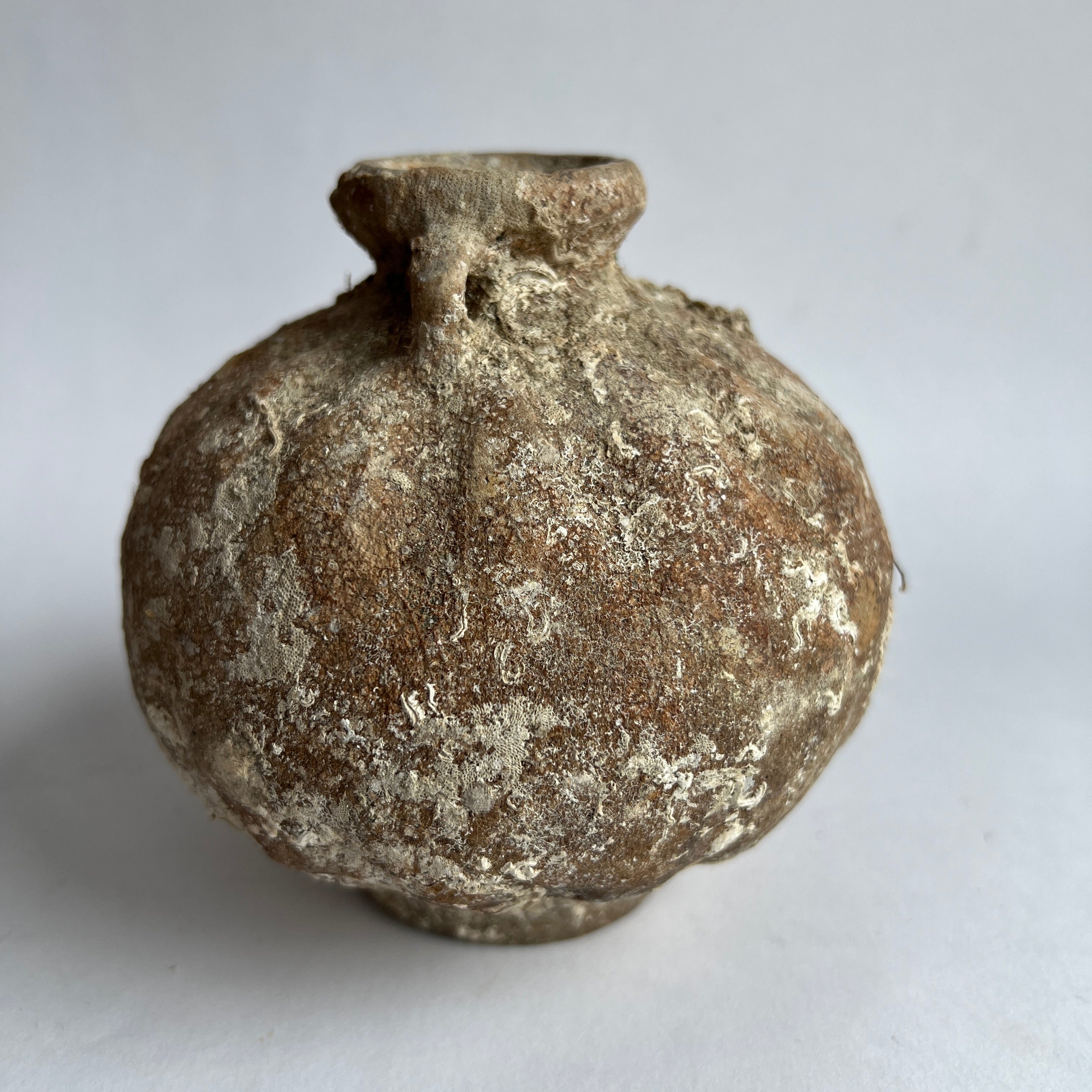 Antique Shipwreck Vase | Sawankhalok 82405 - Image 6