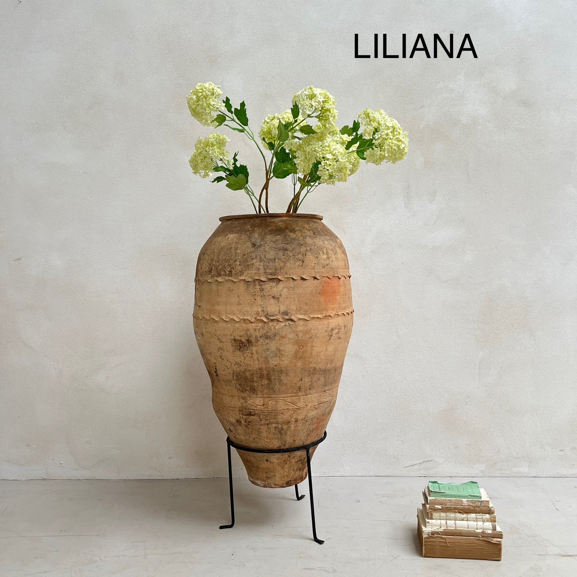 Antique Terracotta Olive Urns - Image 11