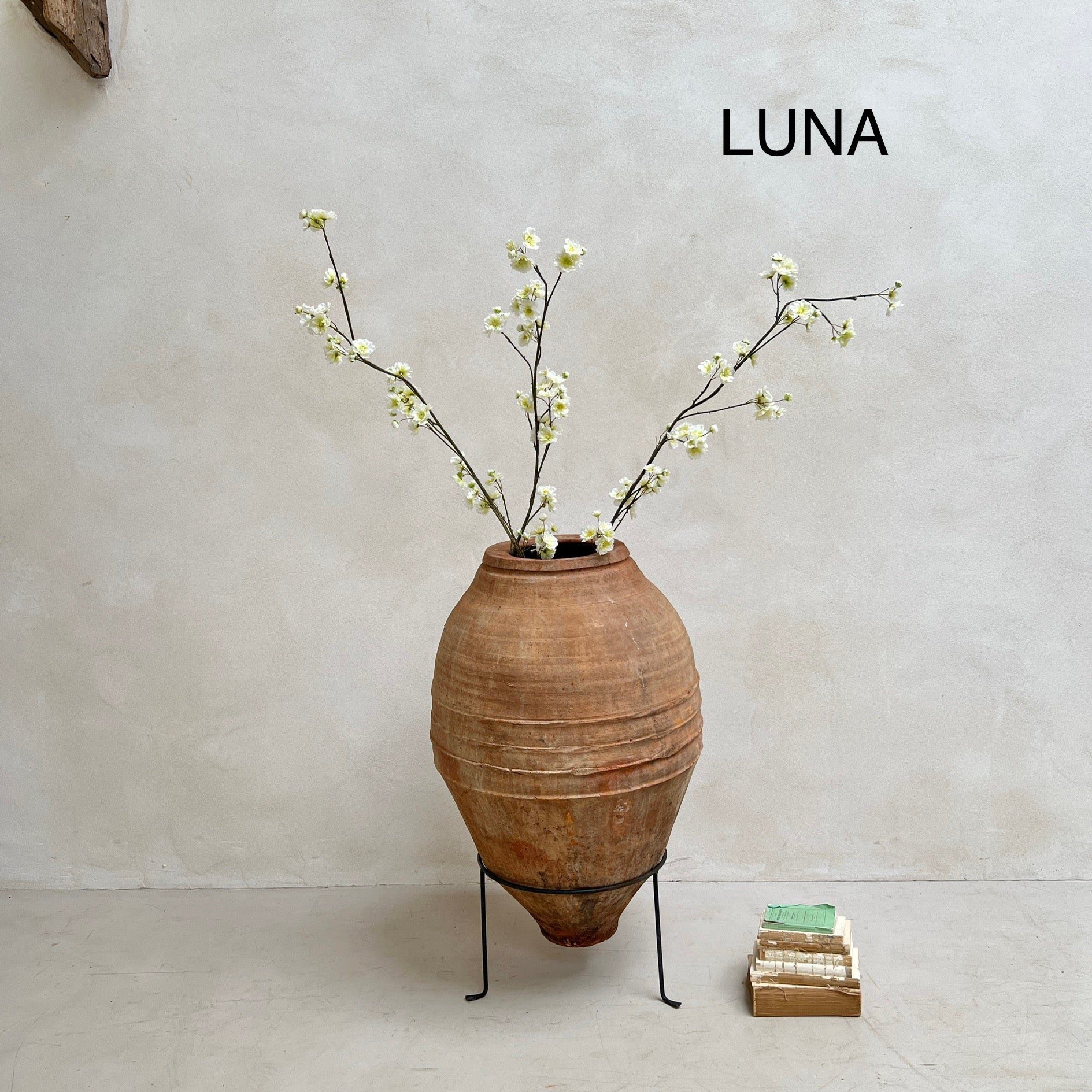 Antique Terracotta Olive Urns - Image 16