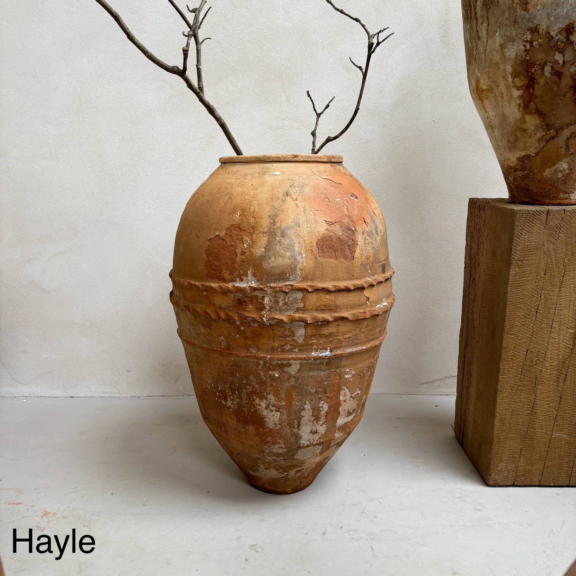 Antique Terracotta Olive Urns - Image 4