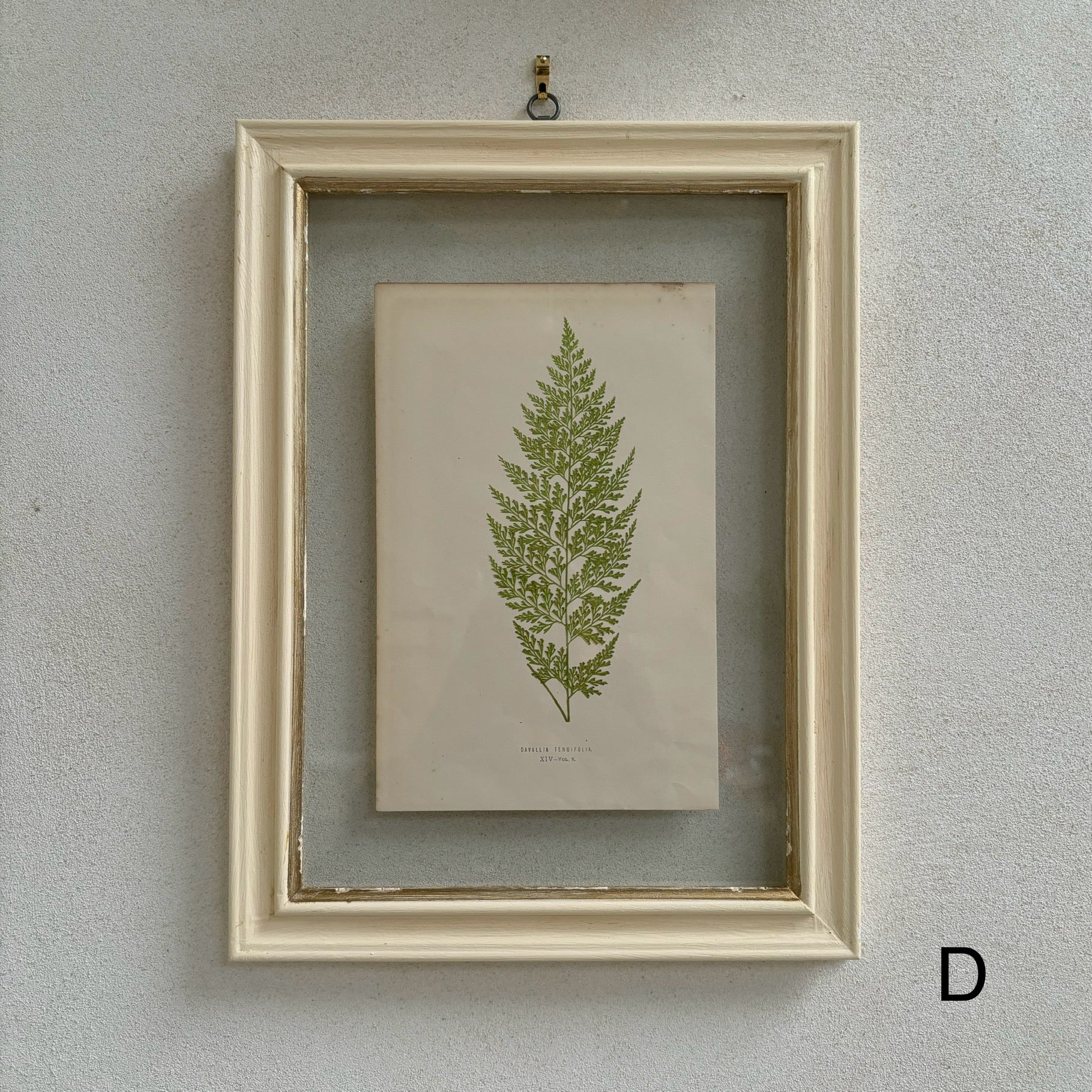 Antique White Framed Fern Print | Small - Image 5