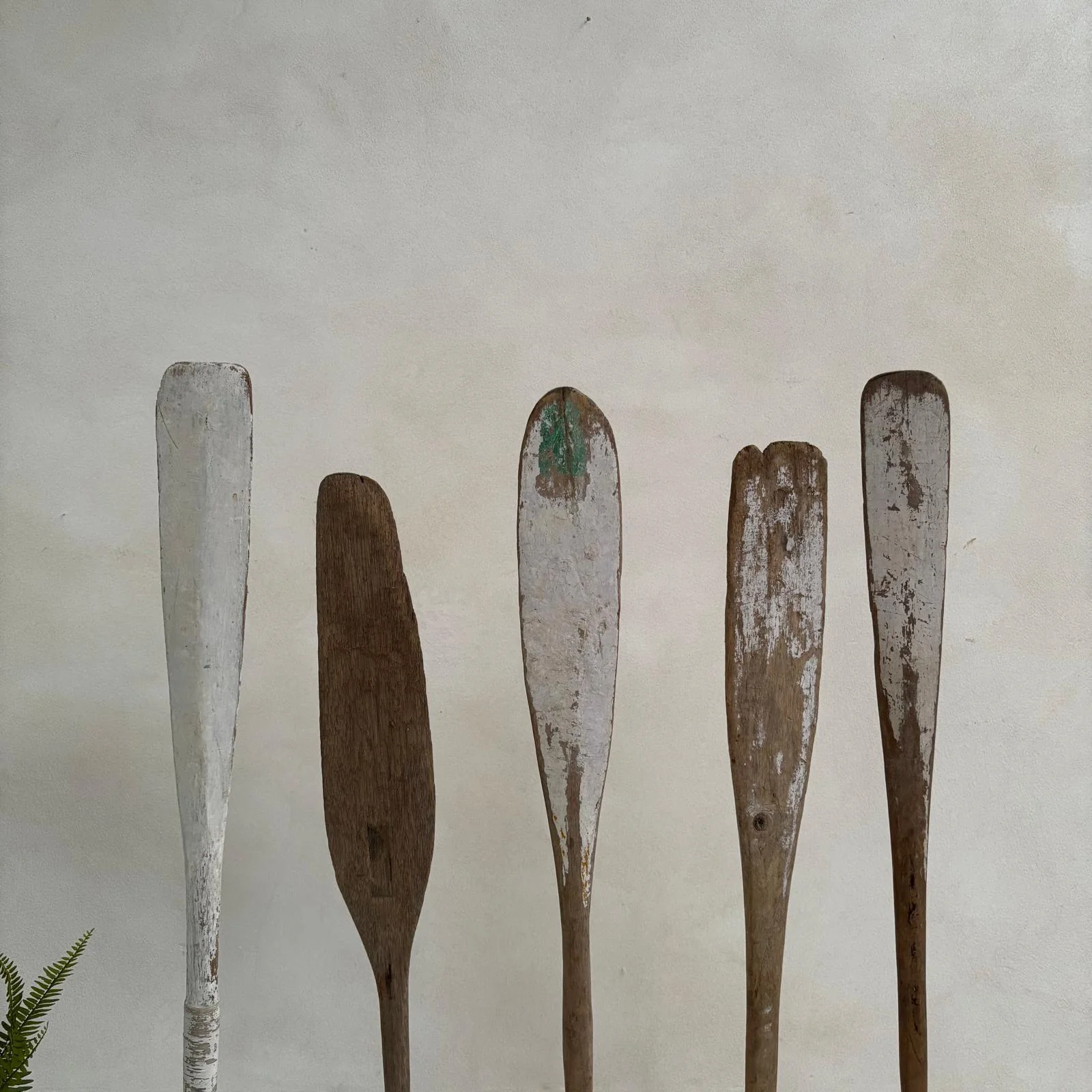 Antique Wooden Oars - Image 2