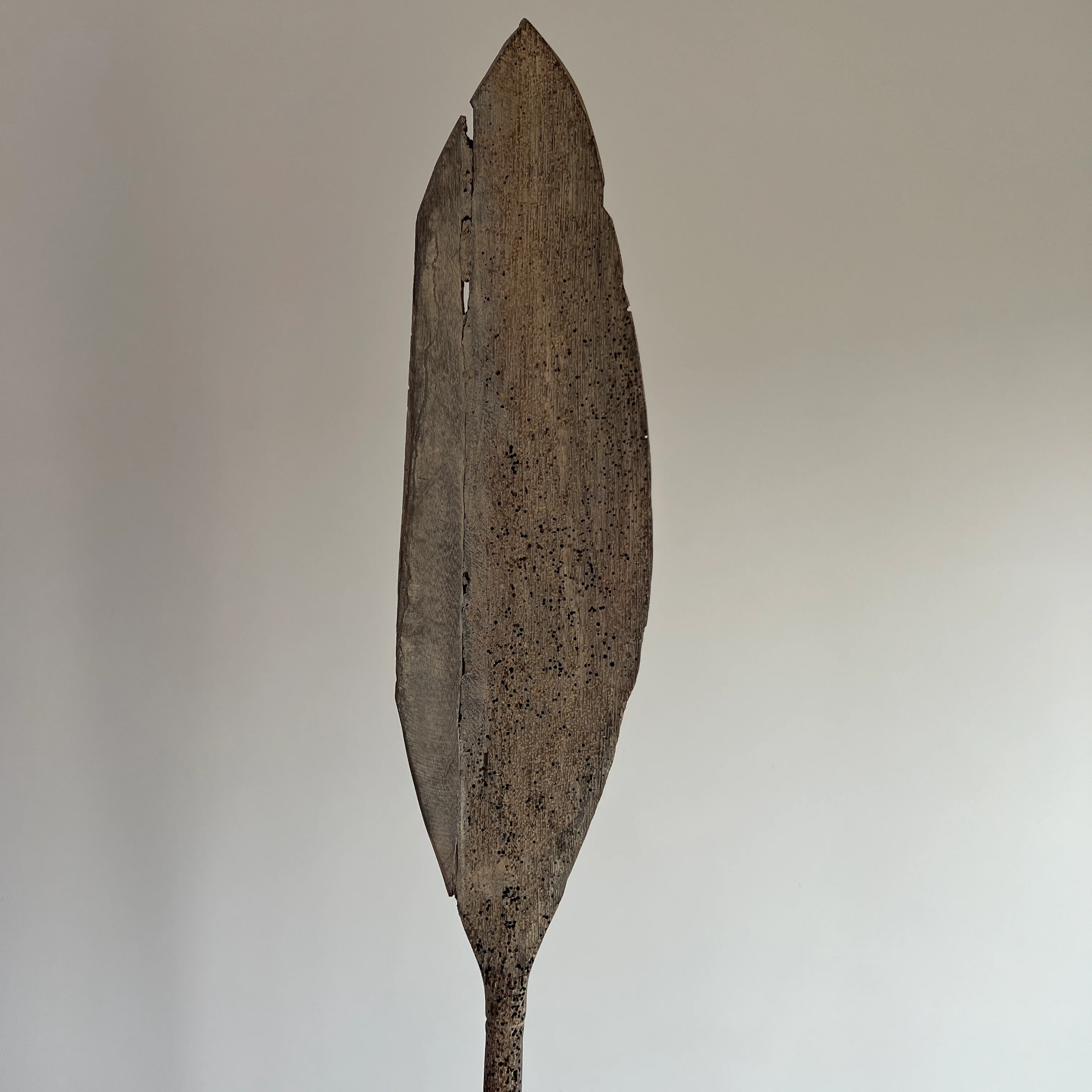 Antique wooden Paddle on Stand - Image 5