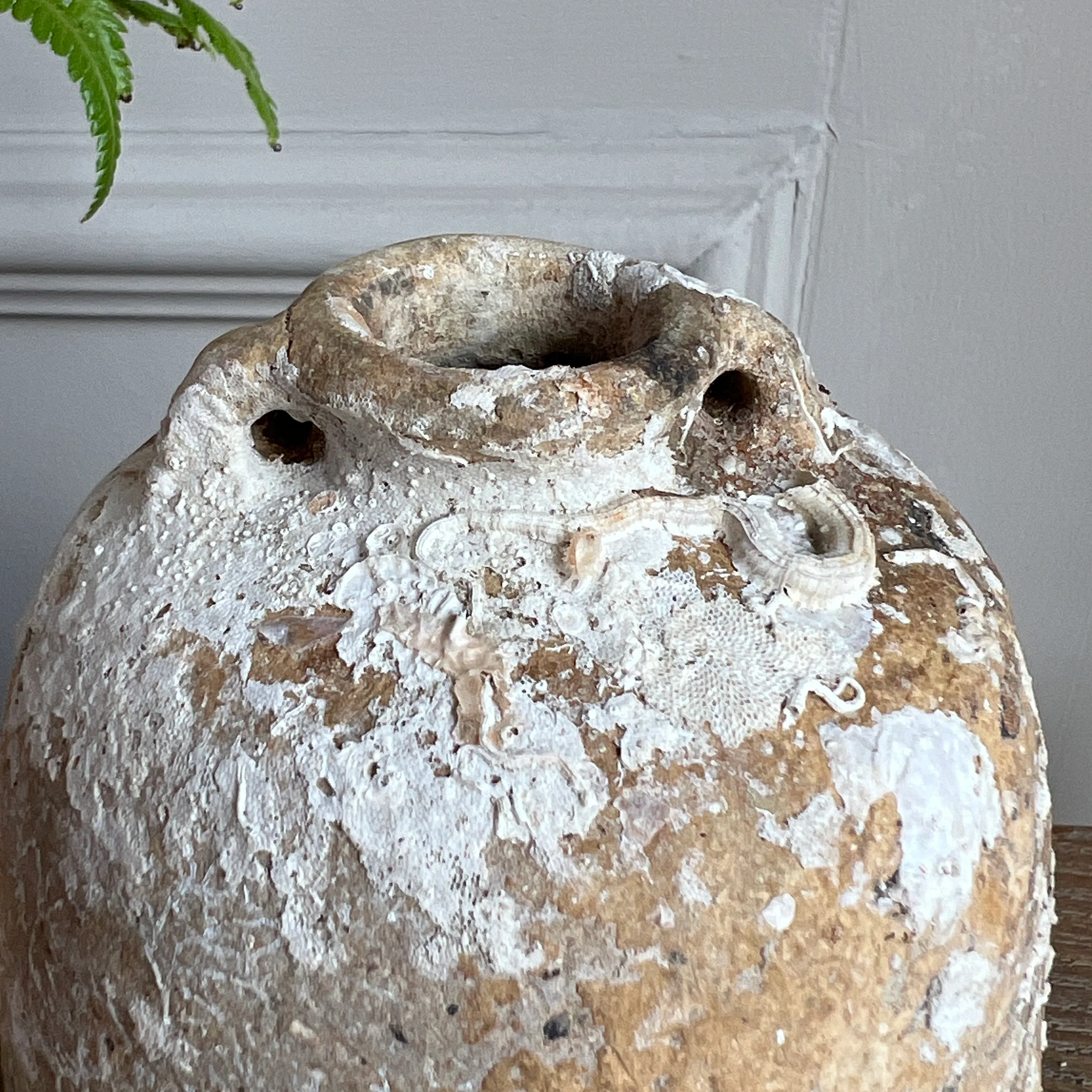 Antique Shipwreck Sawankhalok pottery jar 98007 - Image 4