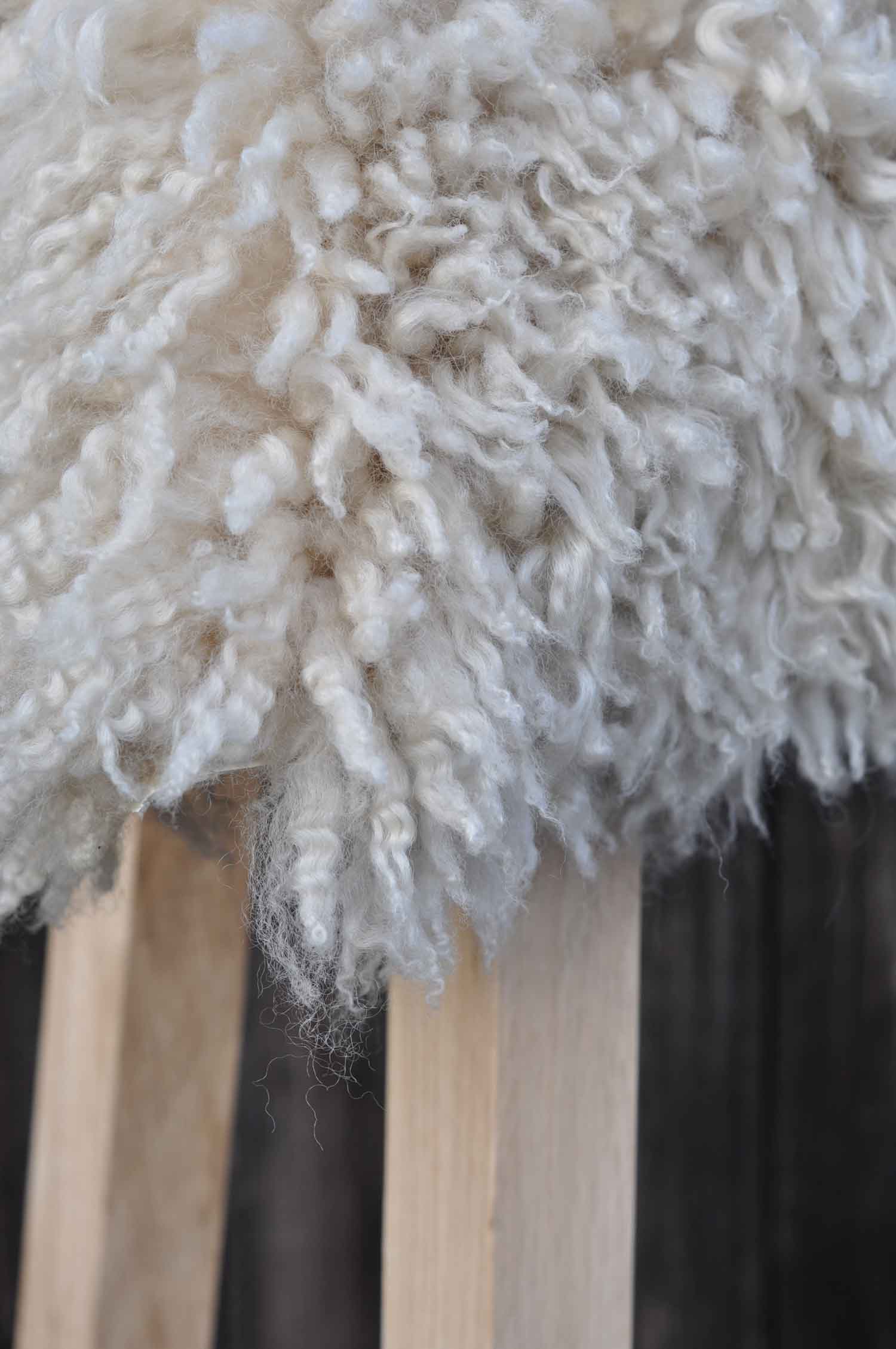 Curly Sheepskin Australian Seat Topper - Image 2