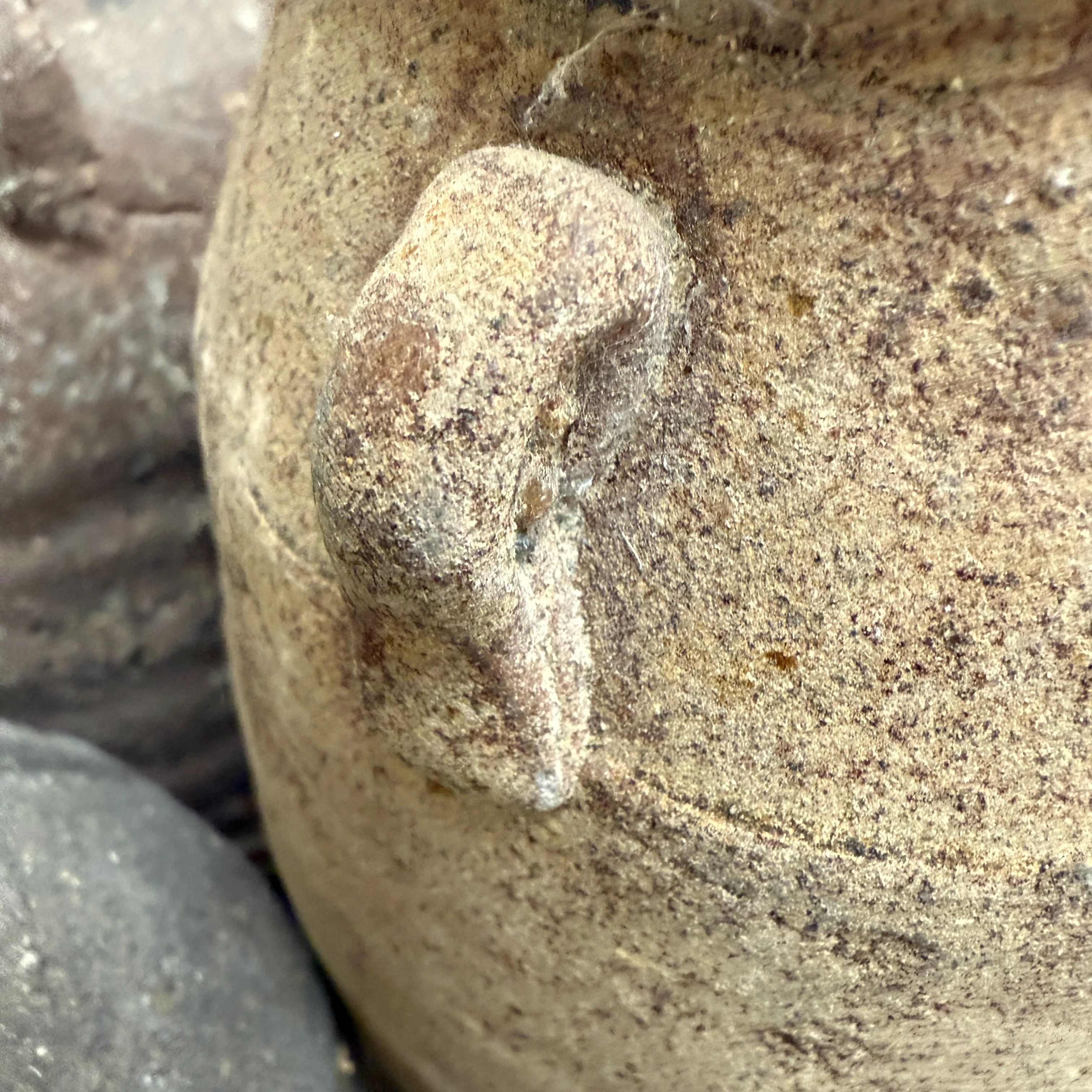 14th Century Shipwreck pot | Darlina - Image 9