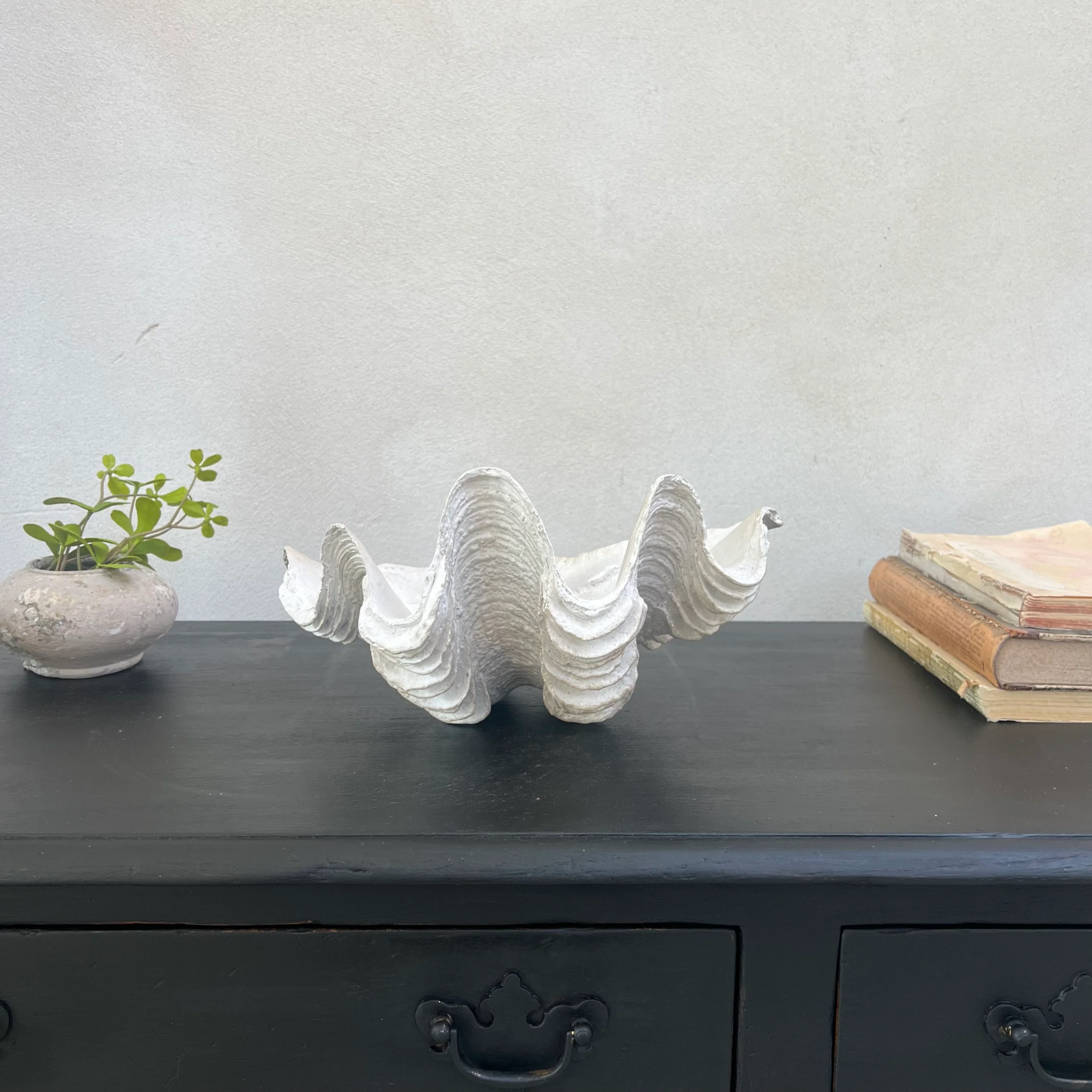Decorative White Clam Shell - Image 9