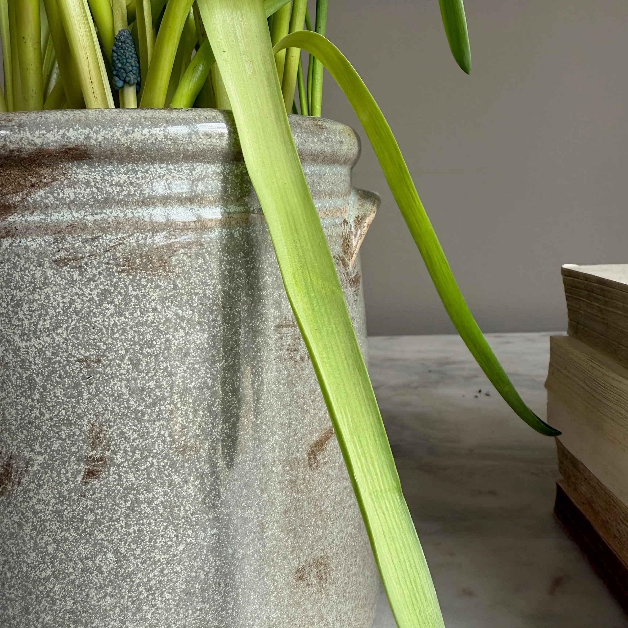 Distressed Grey Confit Pot | Bordeaux - Image 5