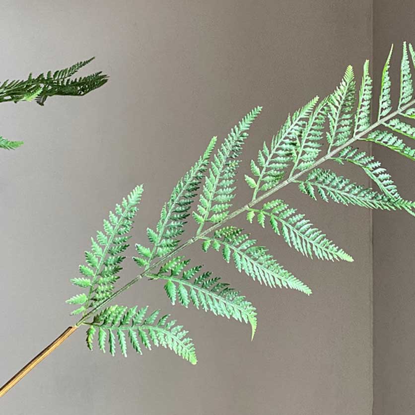 Faux Fern | Five Stems - Image 3