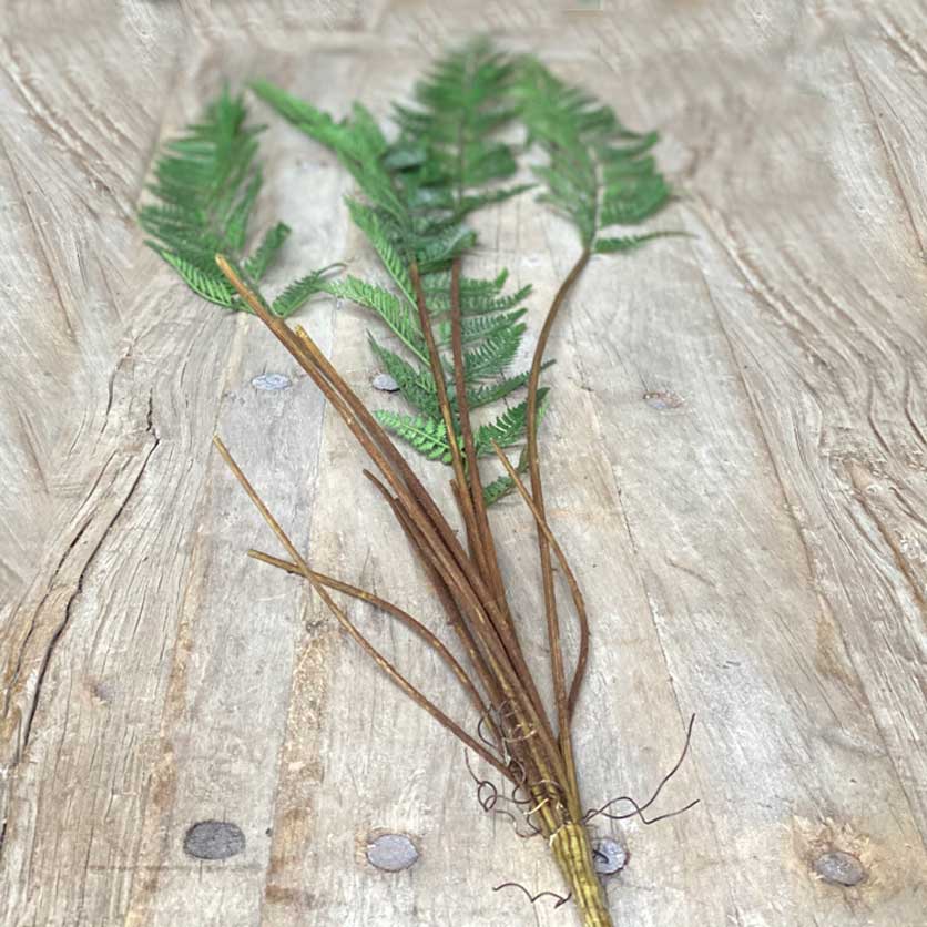 Faux Fern | Five Stems - Image 4