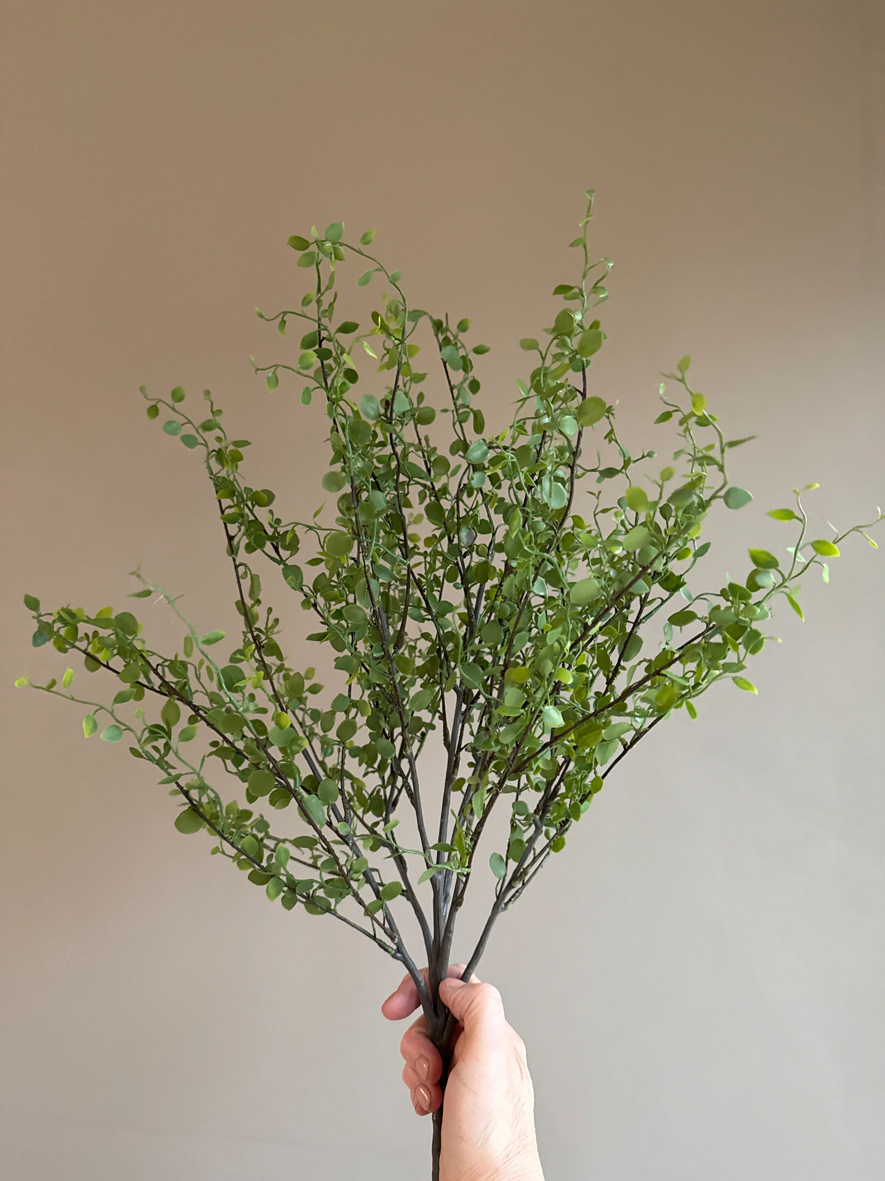 Faux Muehlenbeckia leaf spray green 51cm - Image 3