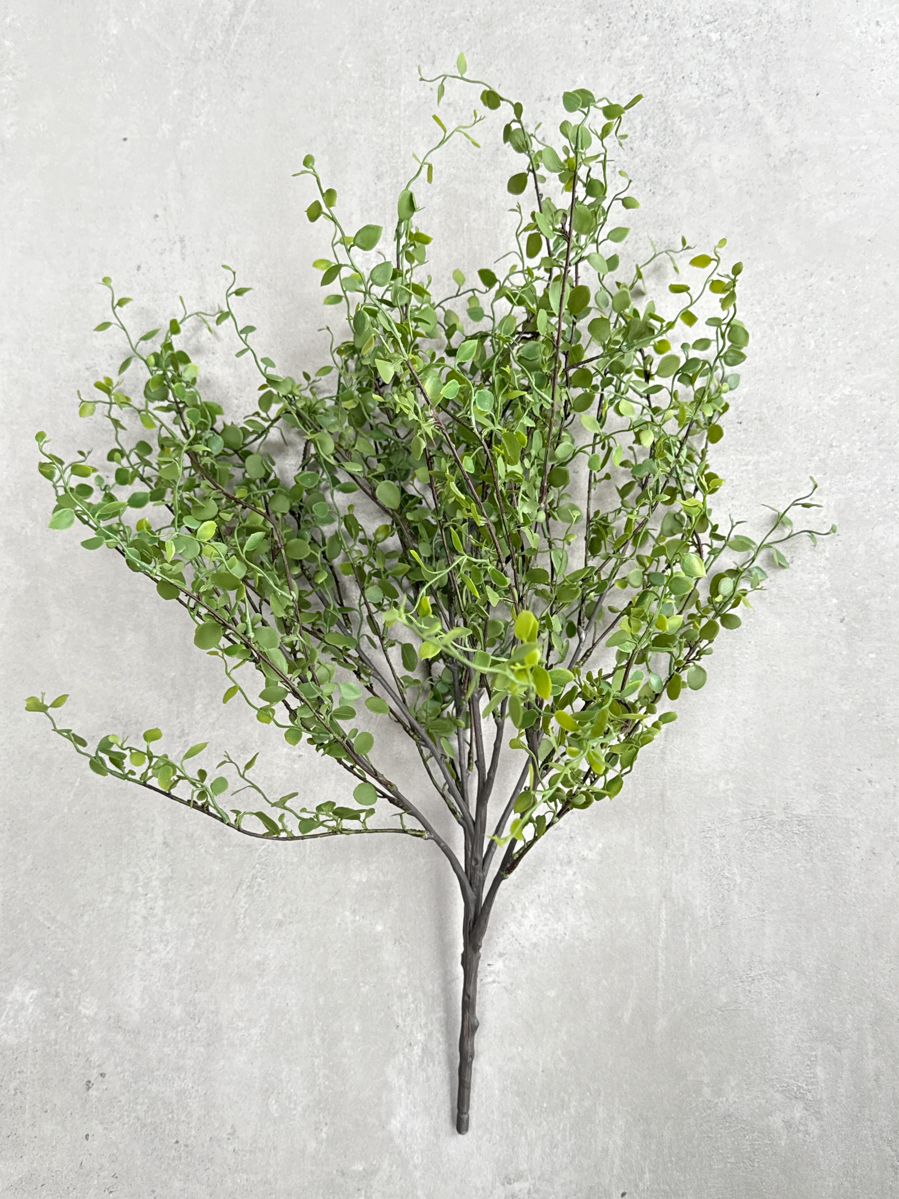 Faux Muehlenbeckia leaf spray green 51cm - Image 5