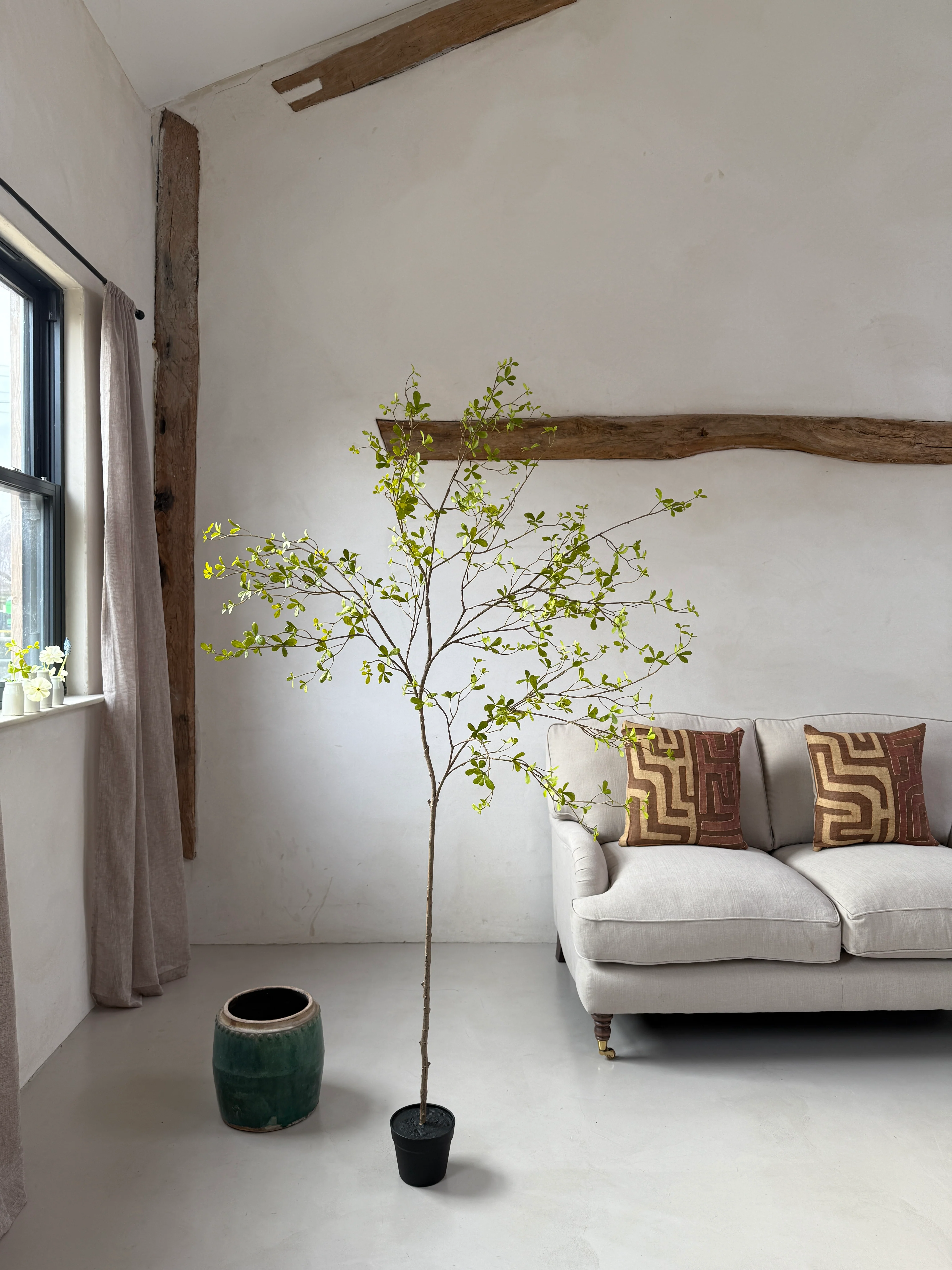 Faux potted Bucida Black Olive Tree 220cm - Image 3